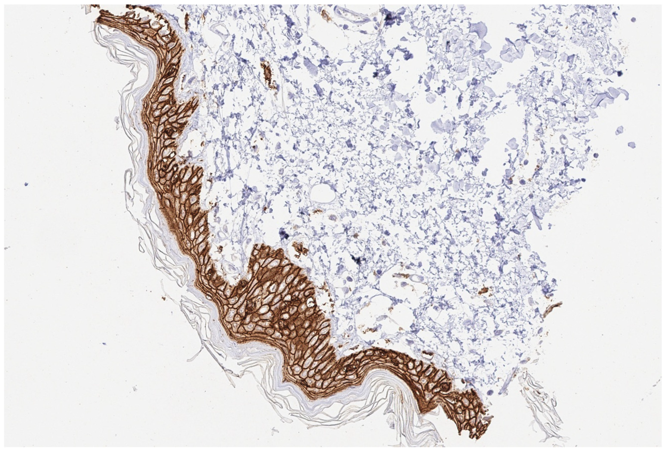 Reports 07 00037 g003