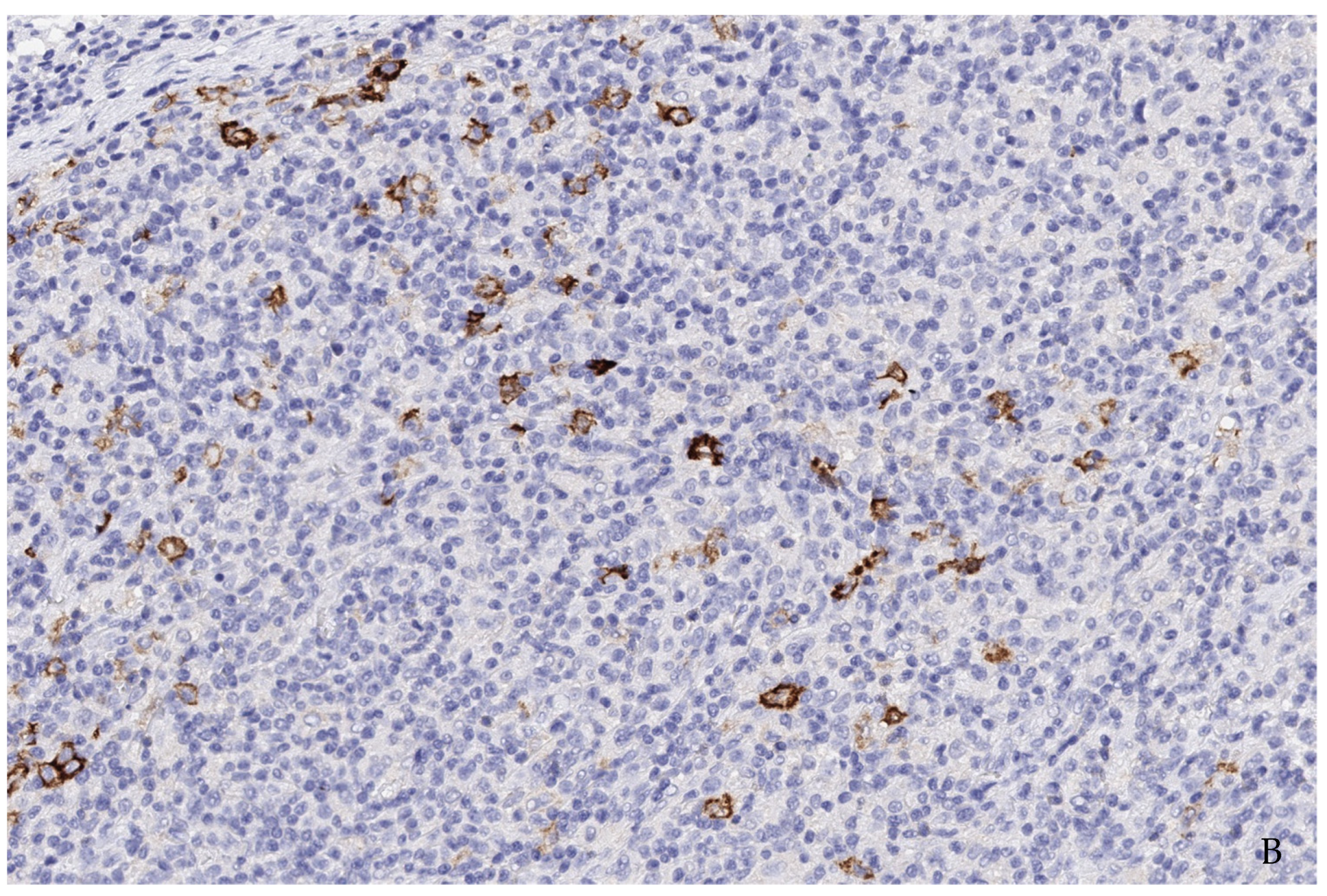 Reports 07 00037 g004b