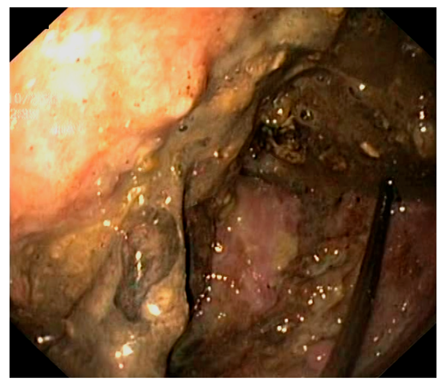 Reports 07 00038 g002