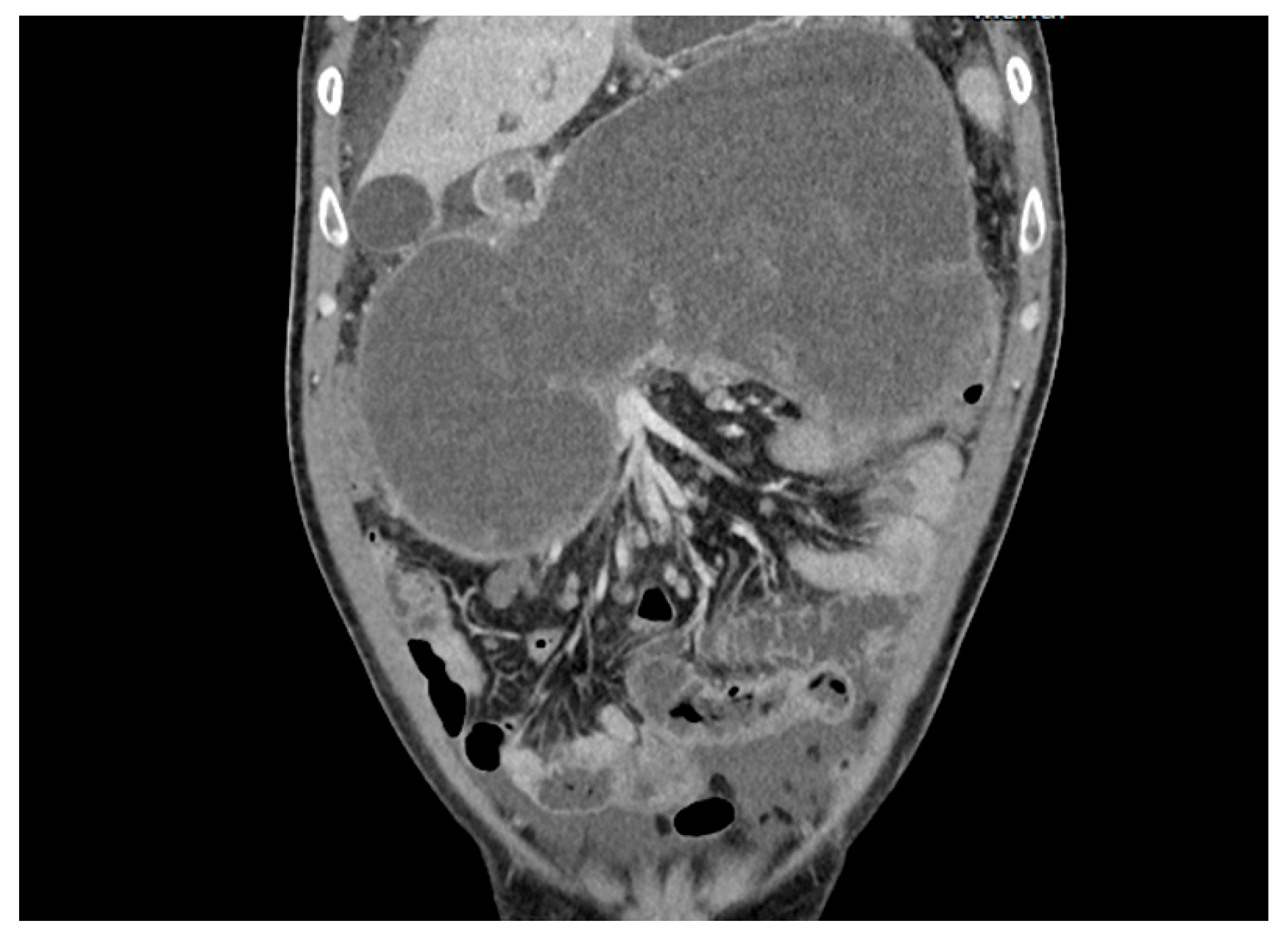 Reports 07 00038 g004