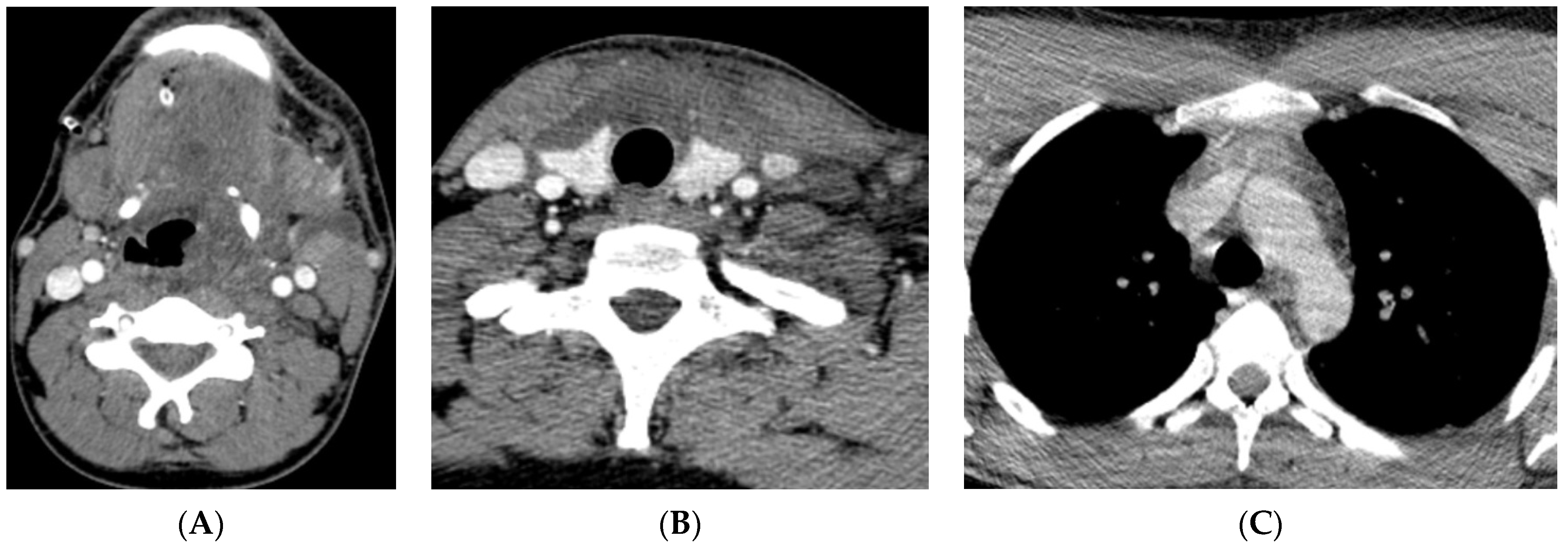 Reports 07 00040 g001