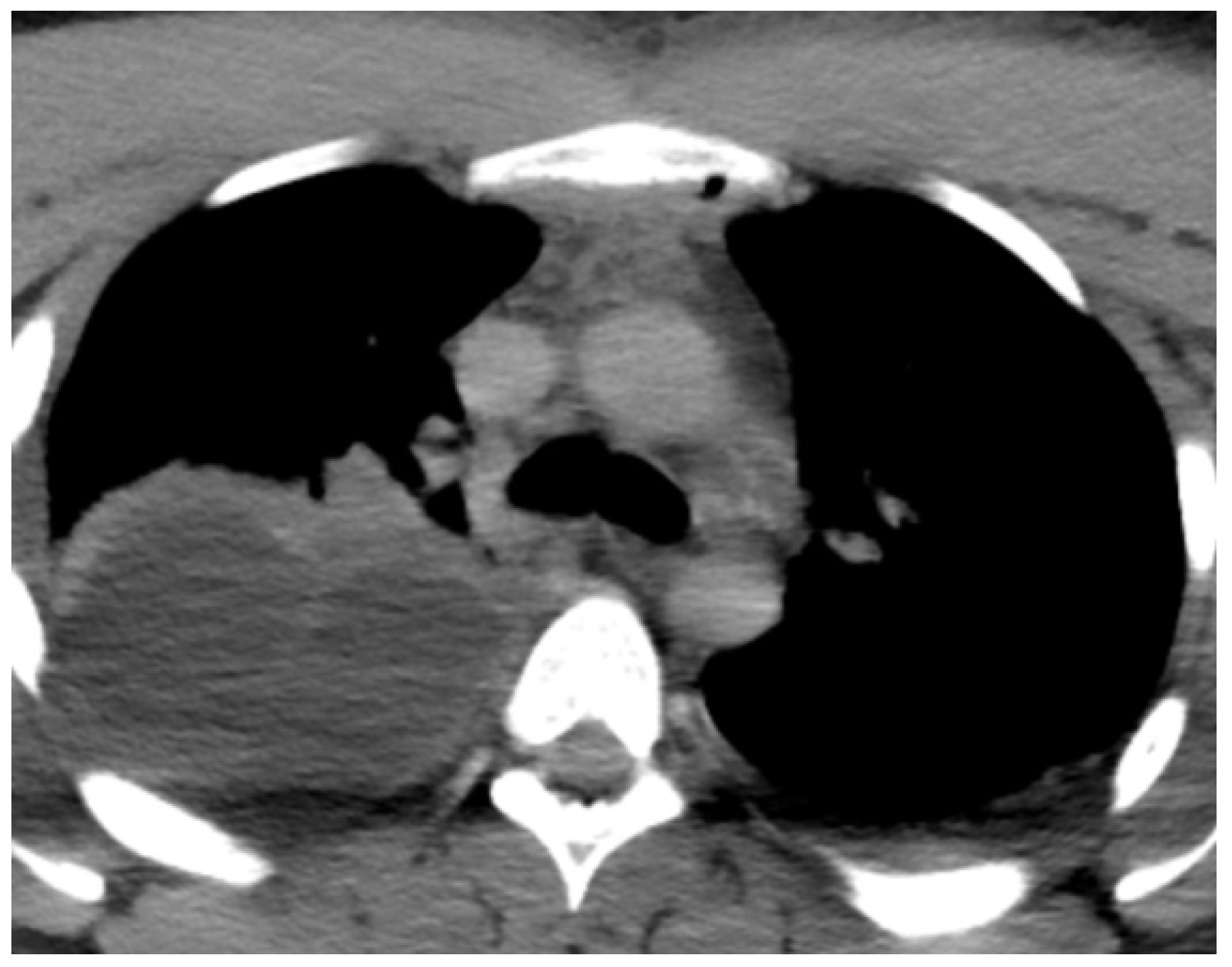 Reports 07 00040 g002