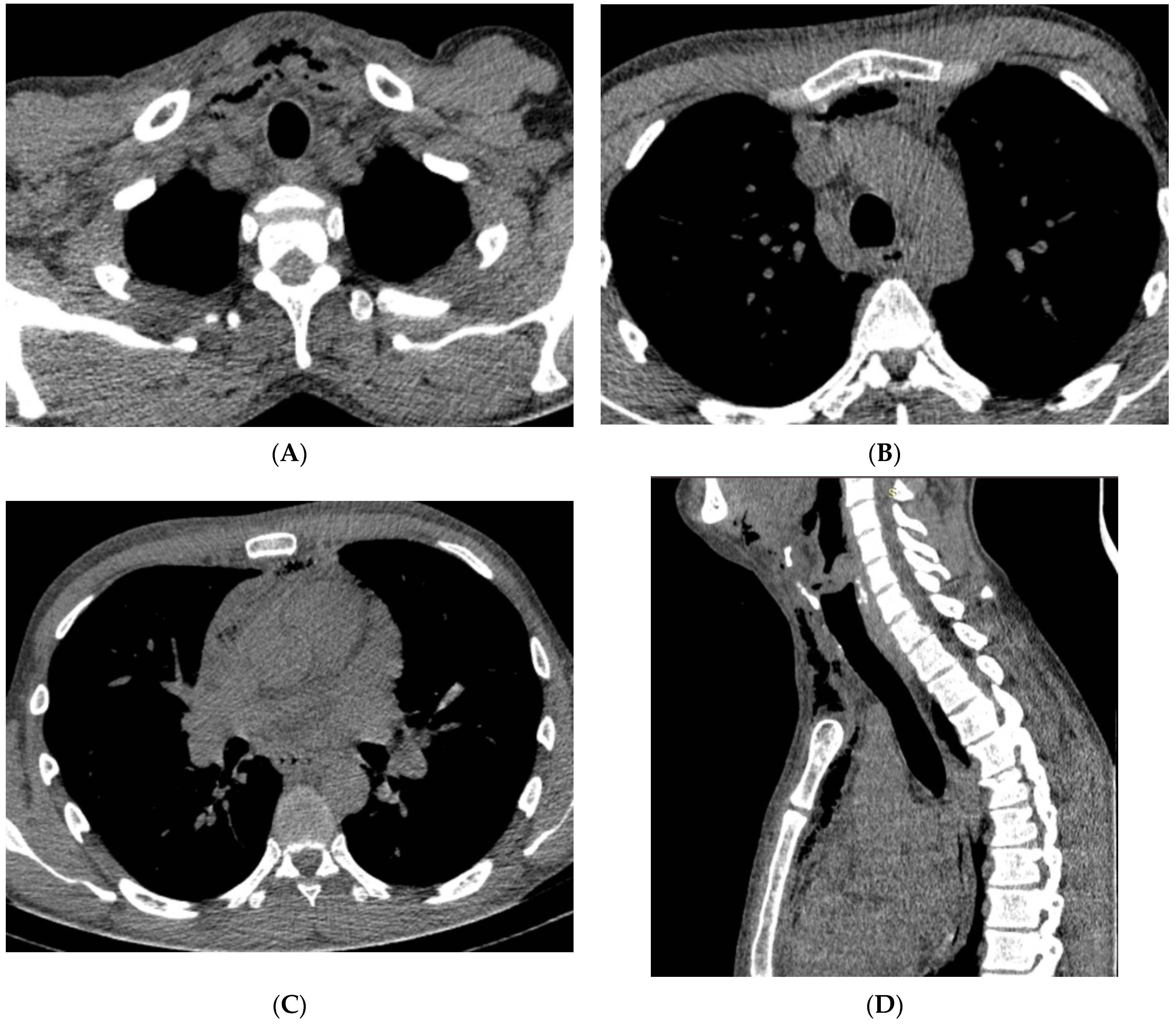 Reports 07 00040 g003