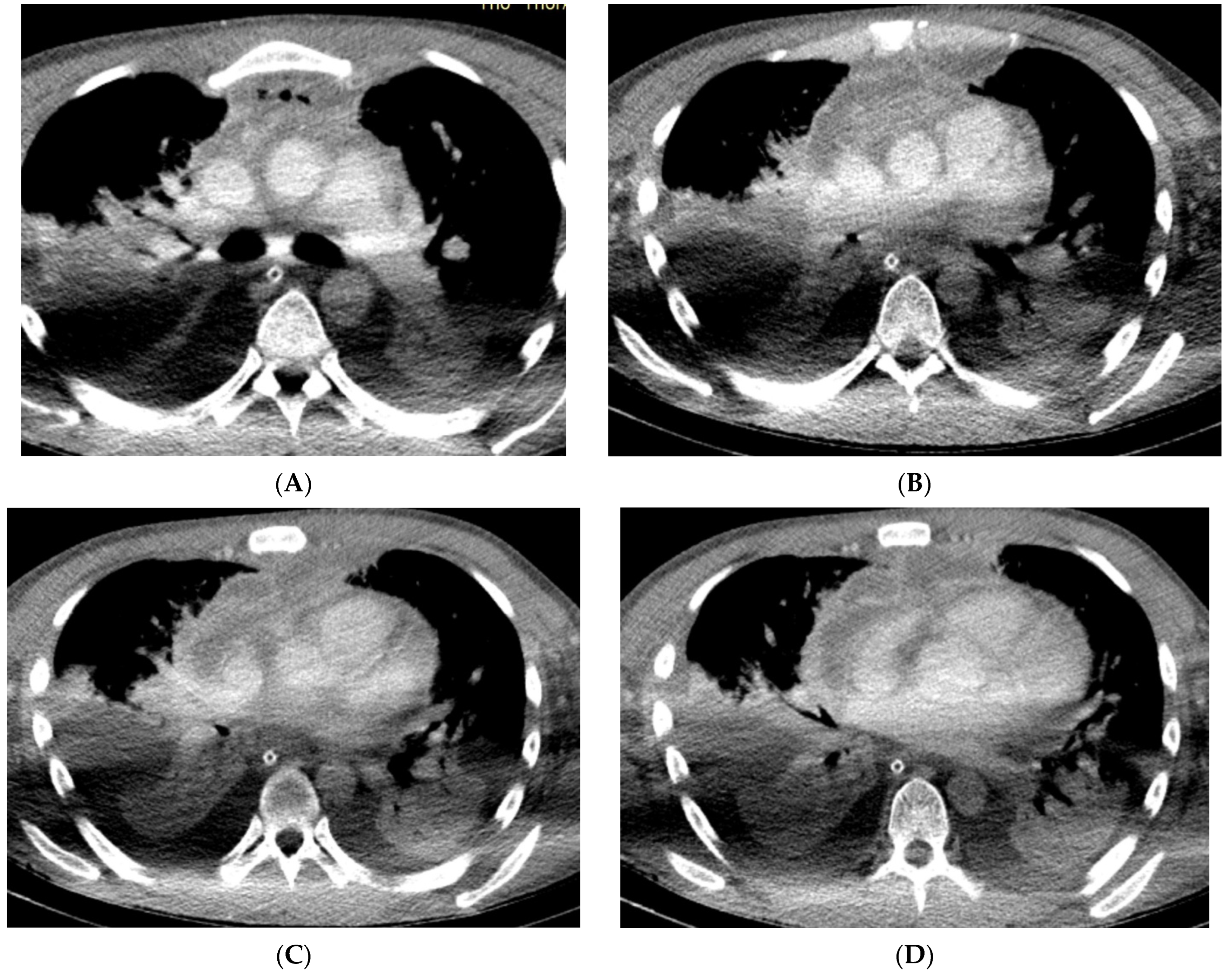 Reports 07 00040 g004