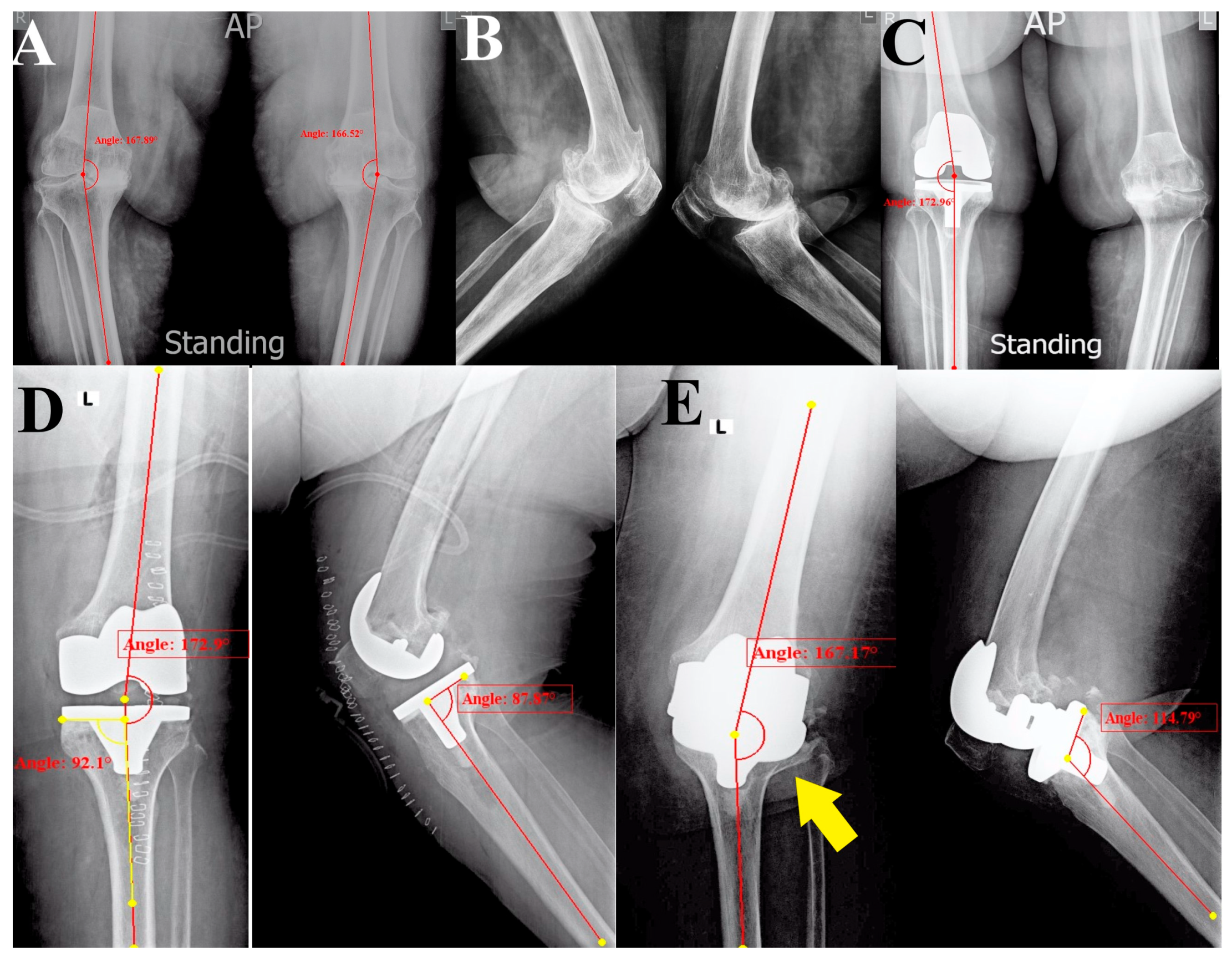 Reports 07 00044 g001