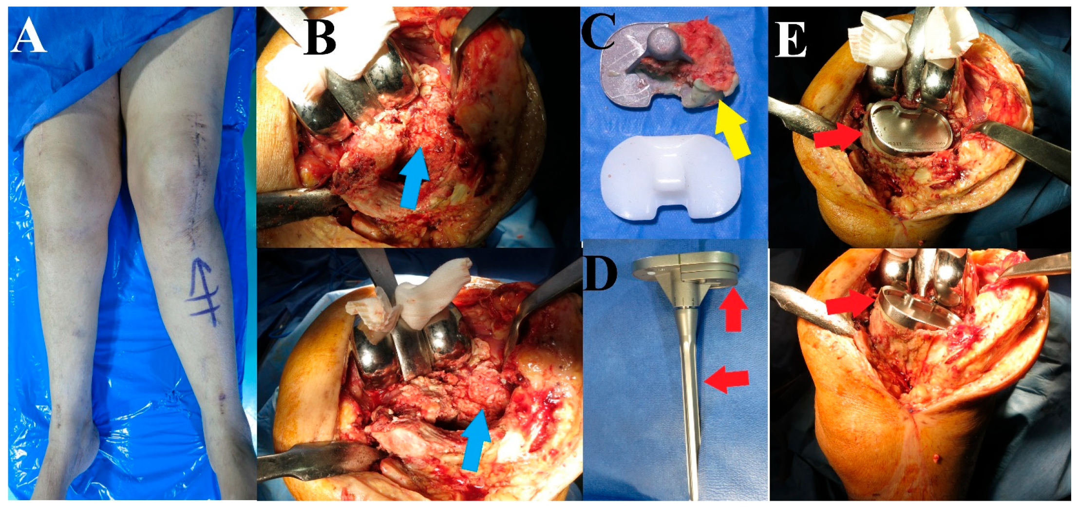 Reports 07 00044 g002