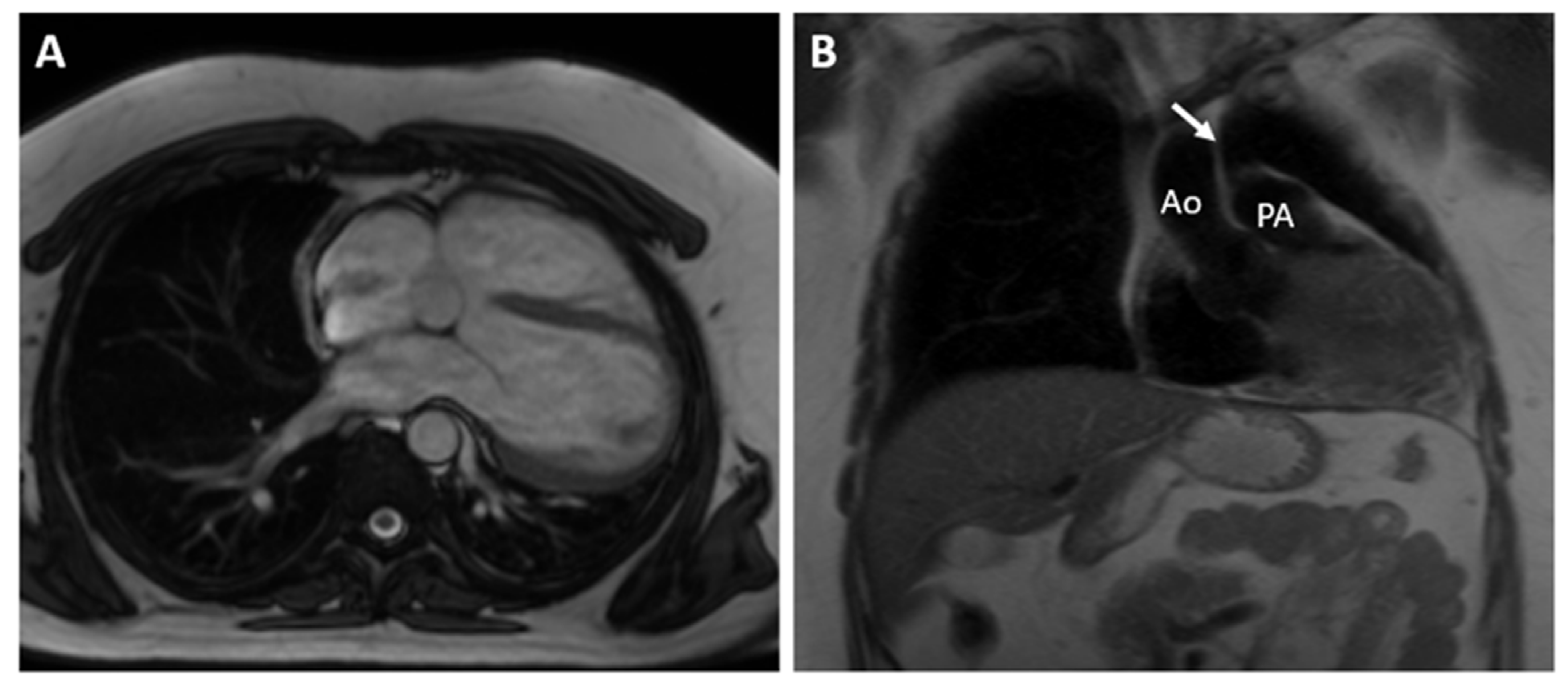 Reports 07 00048 g003