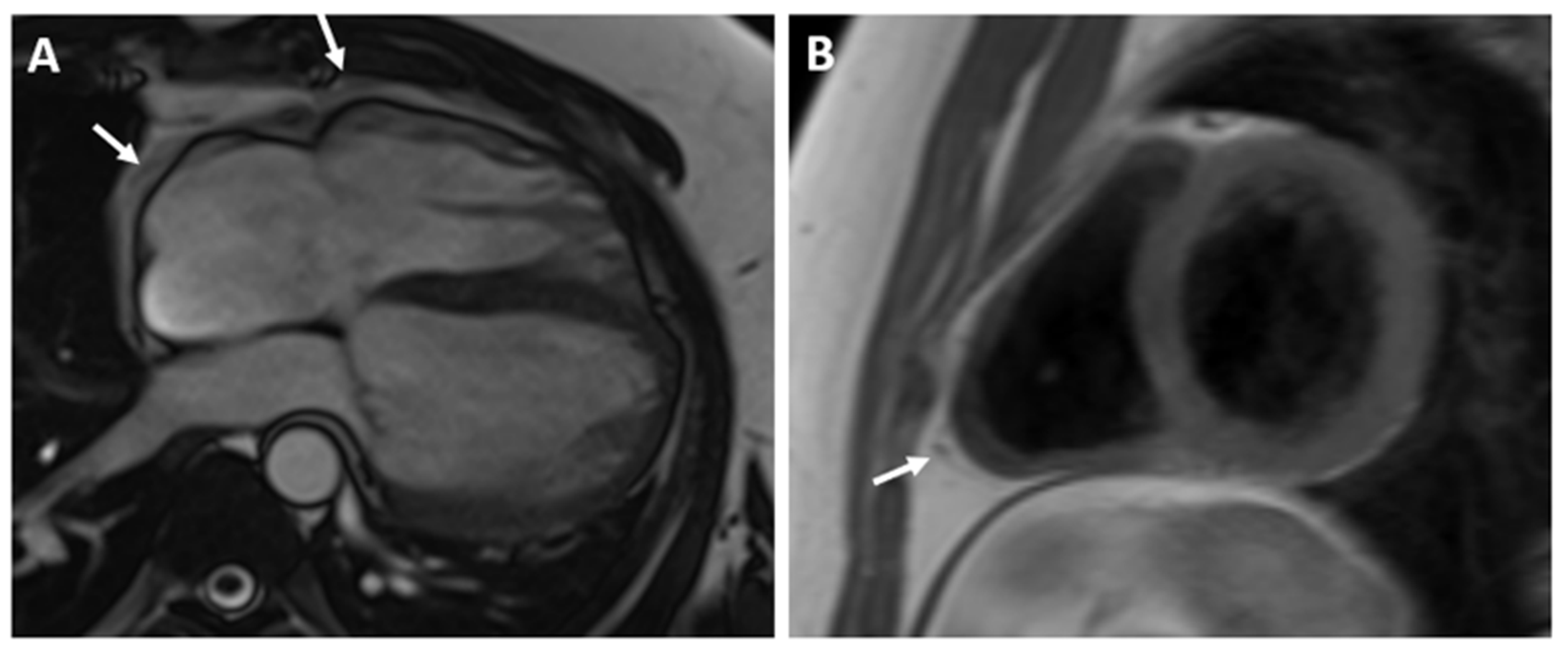 Reports 07 00048 g004