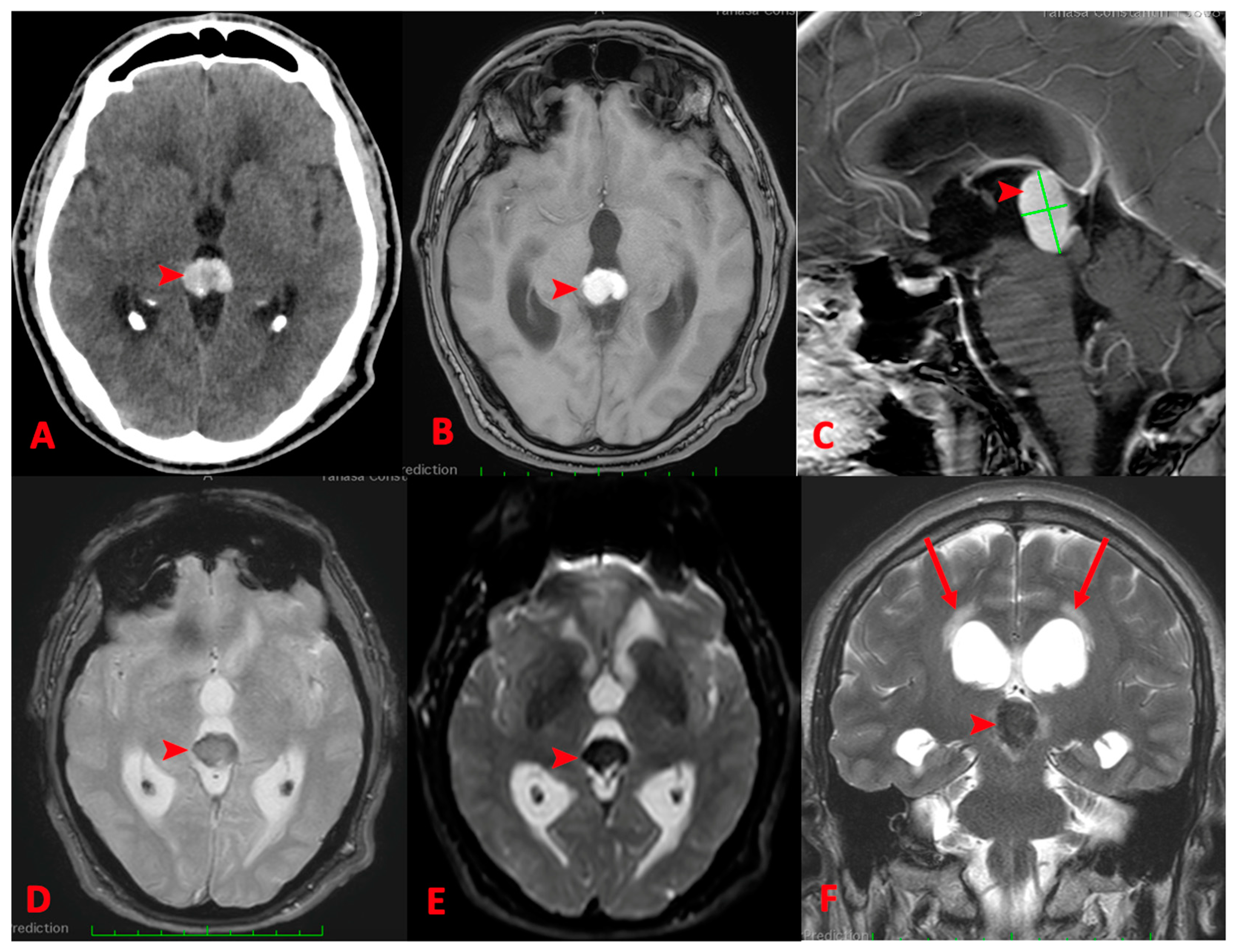 Reports 07 00049 g001