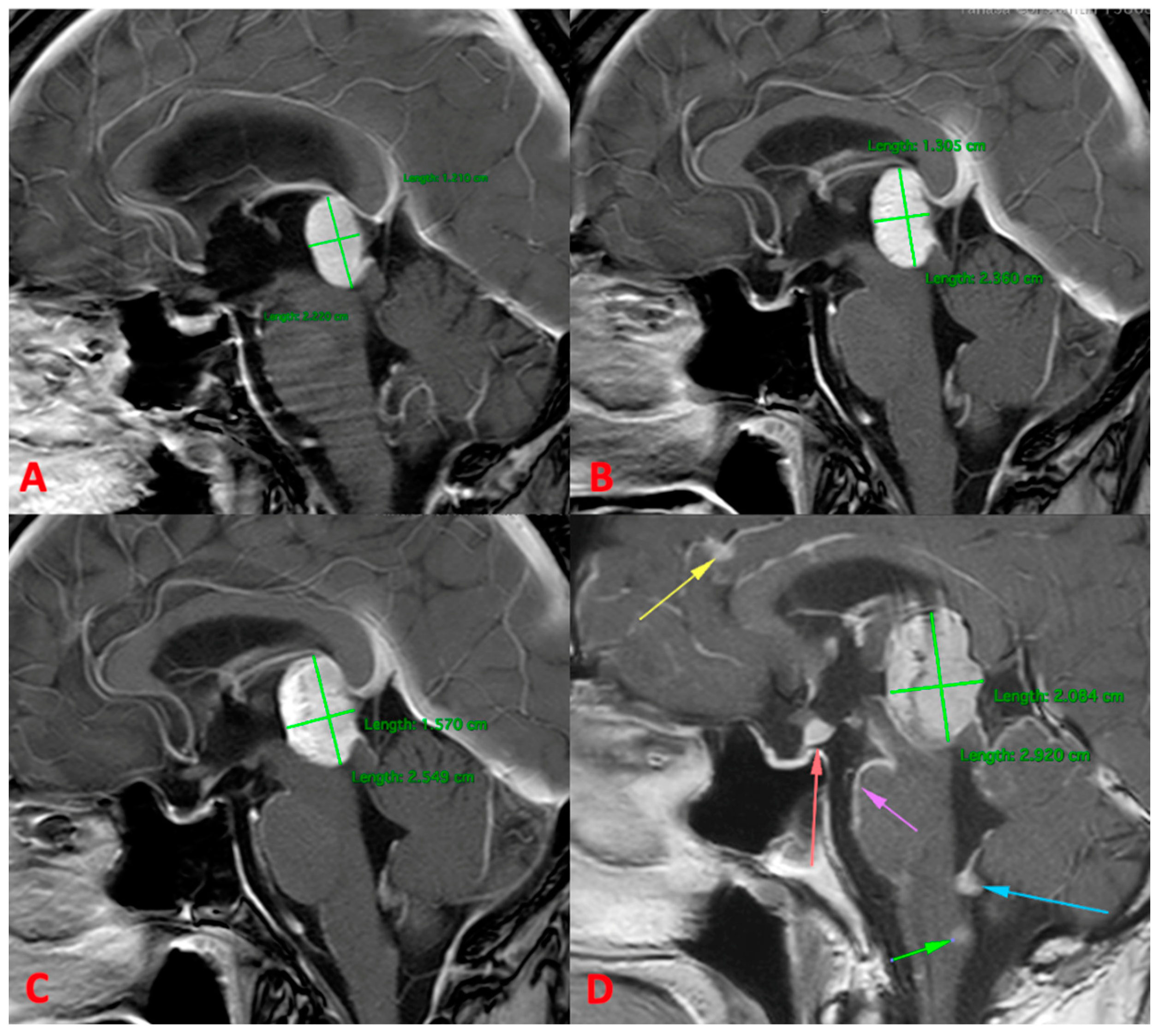 Reports 07 00049 g004