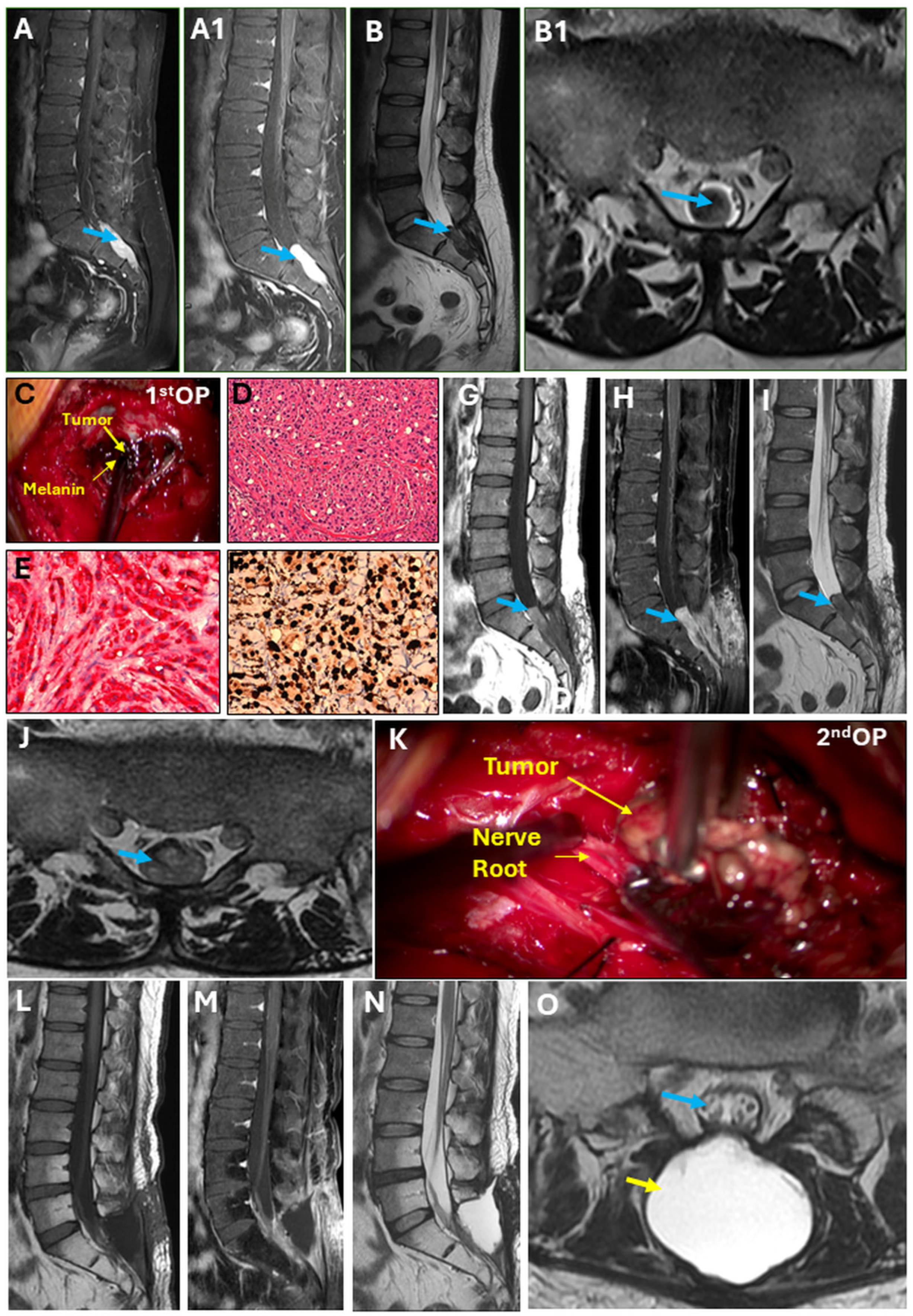 Reports 07 00056 g001