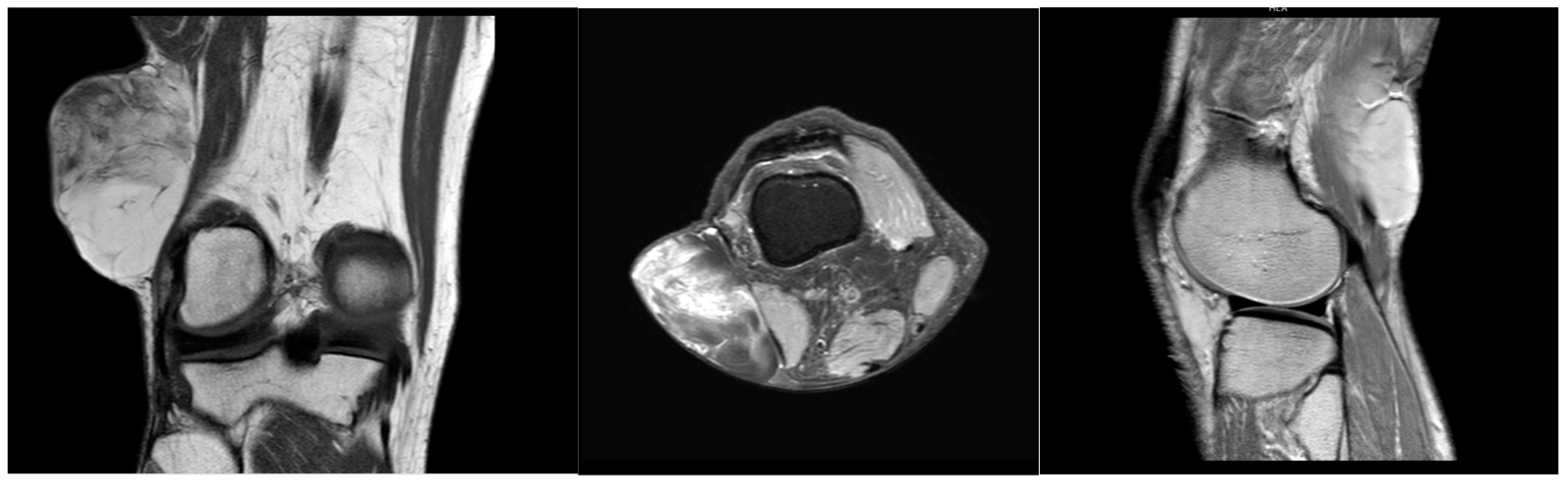 Reports 07 00058 g001