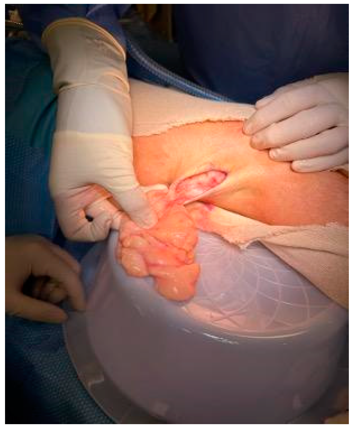 Reports 07 00058 g002