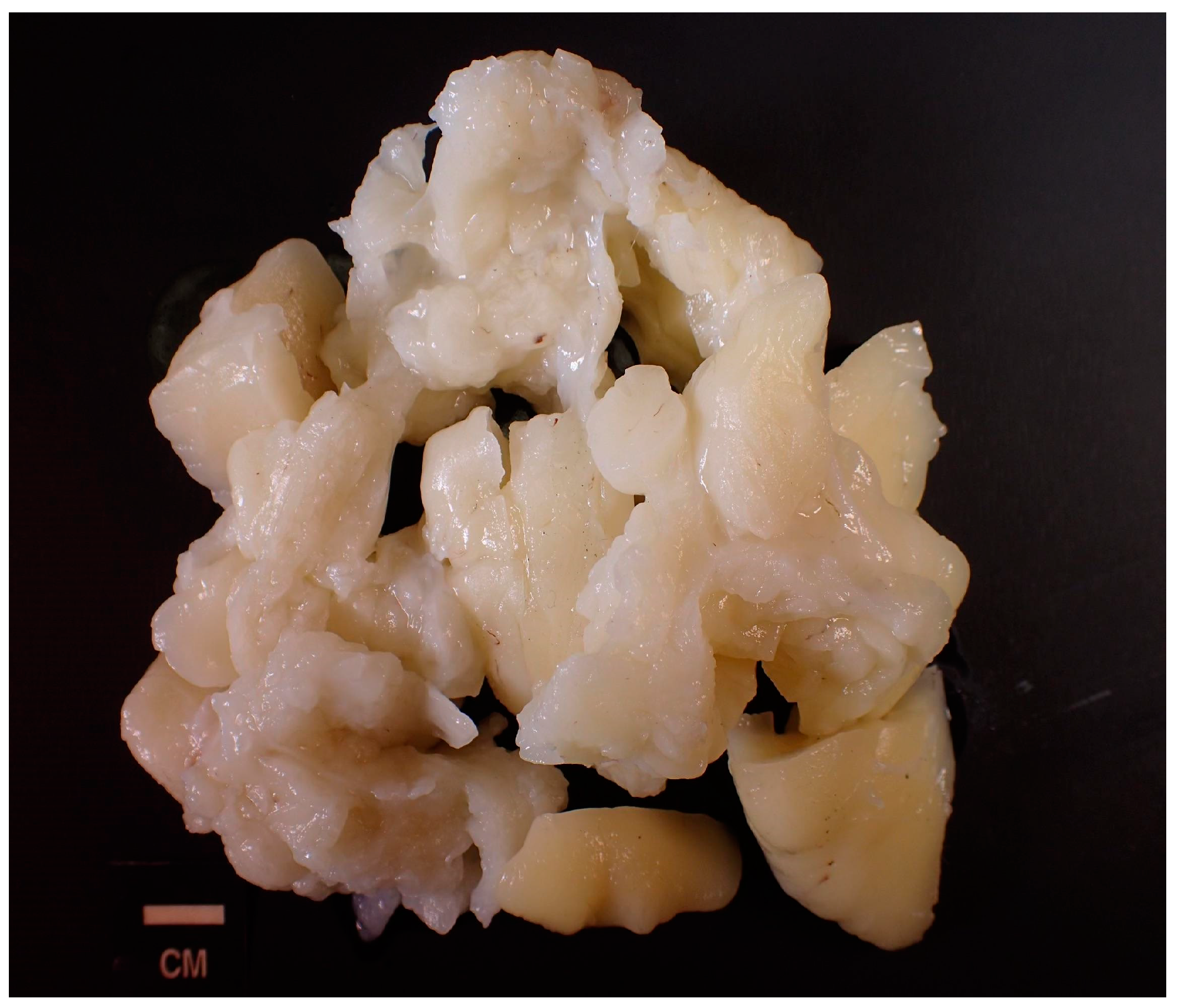 Reports 07 00058 g003