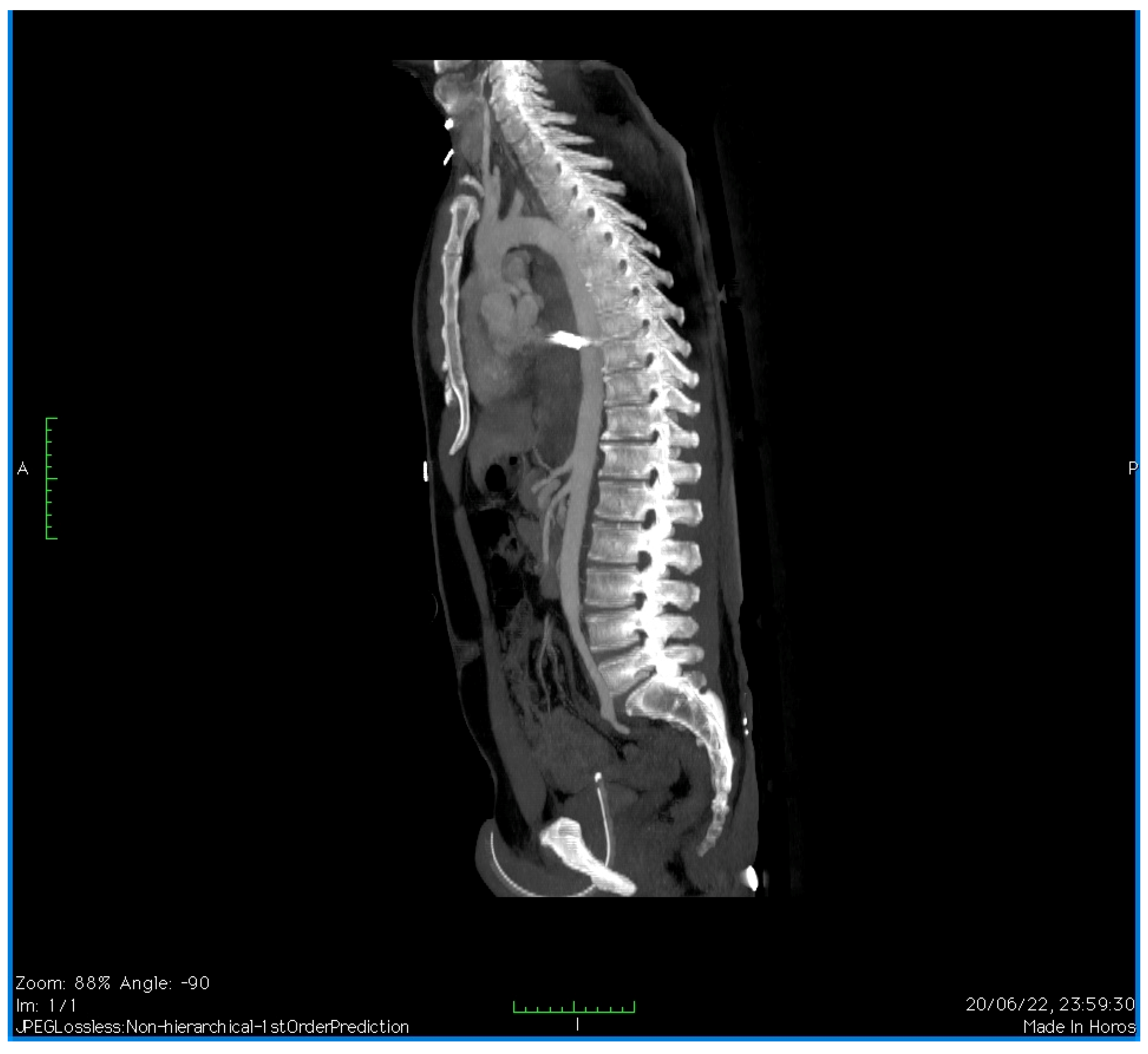 Reports 07 00063 g002