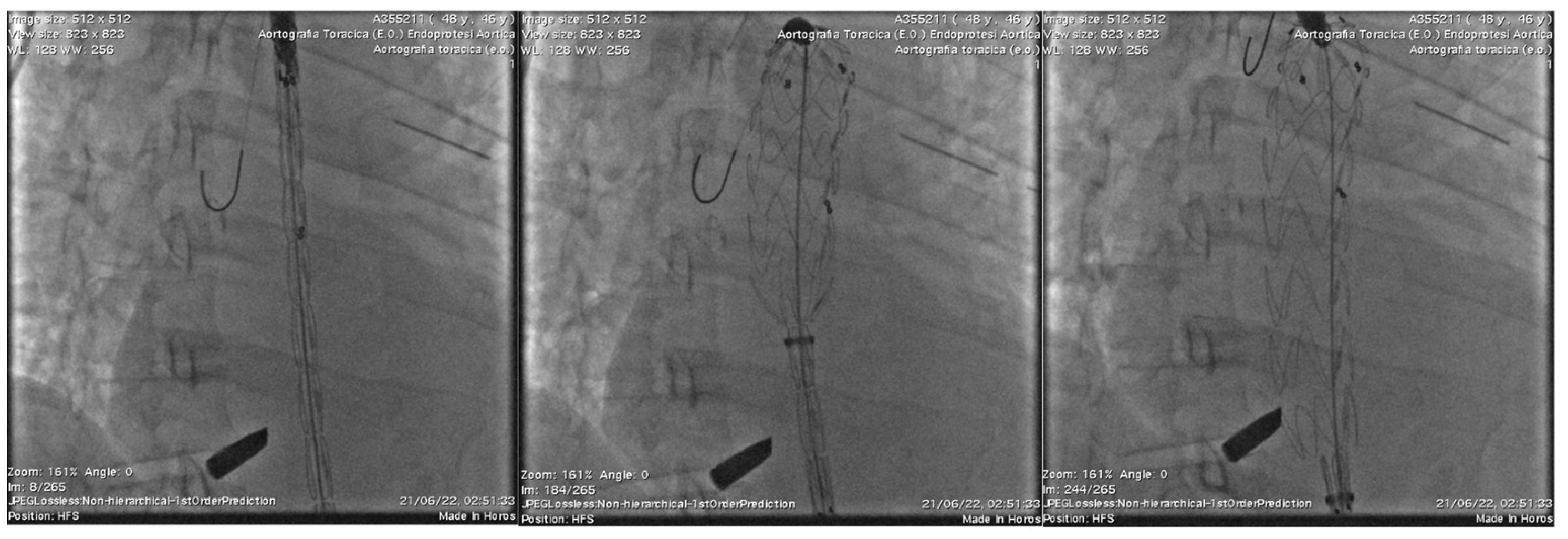 Reports 07 00063 g003