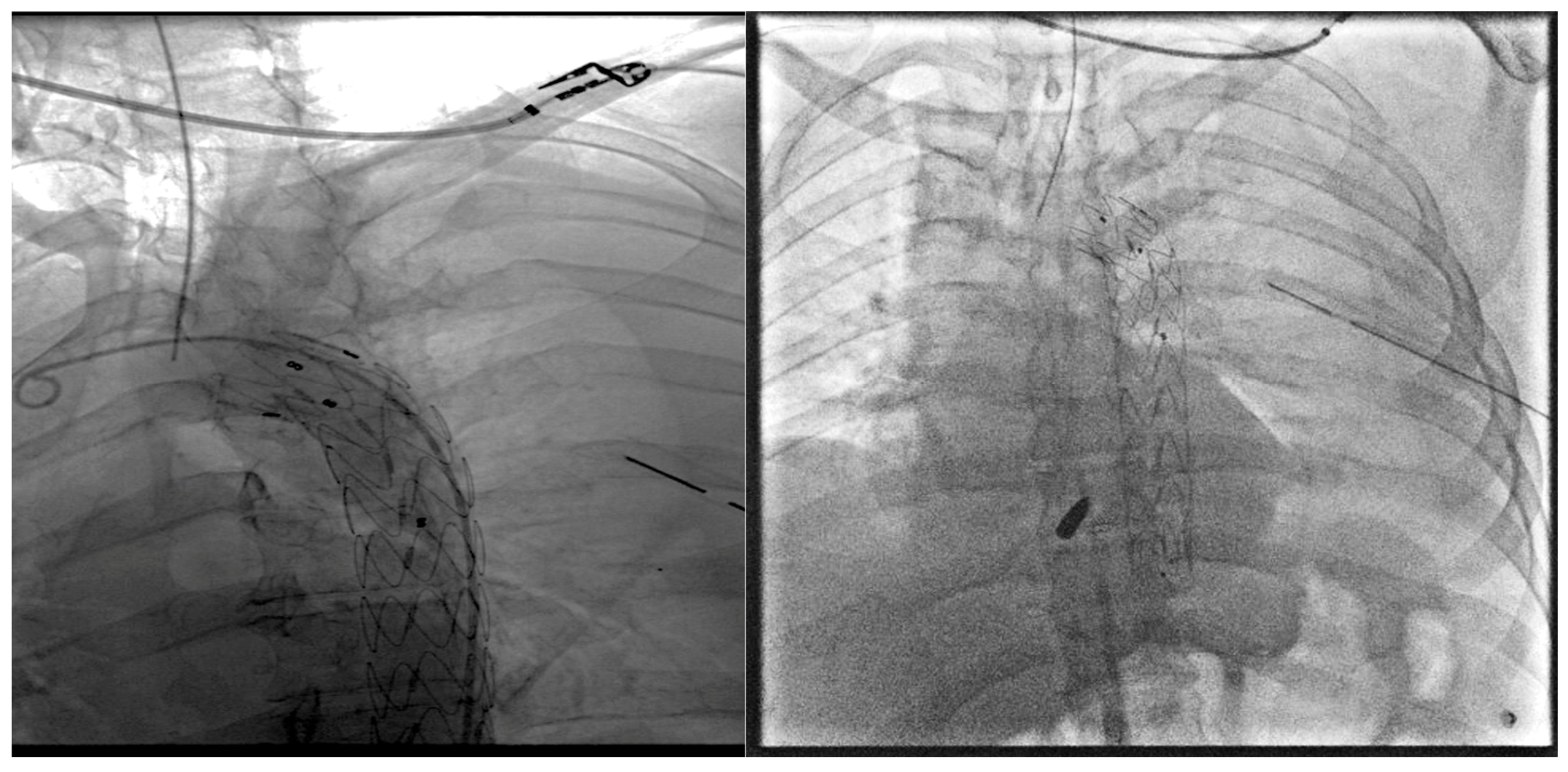 Reports 07 00063 g004