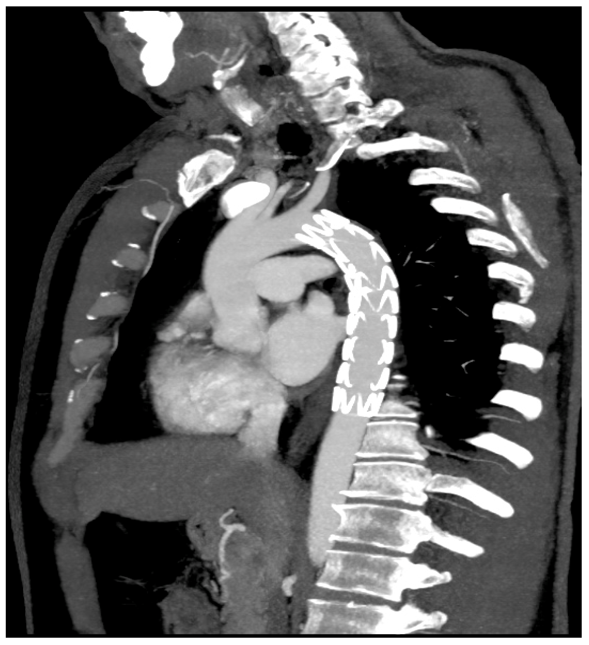 Reports 07 00063 g005