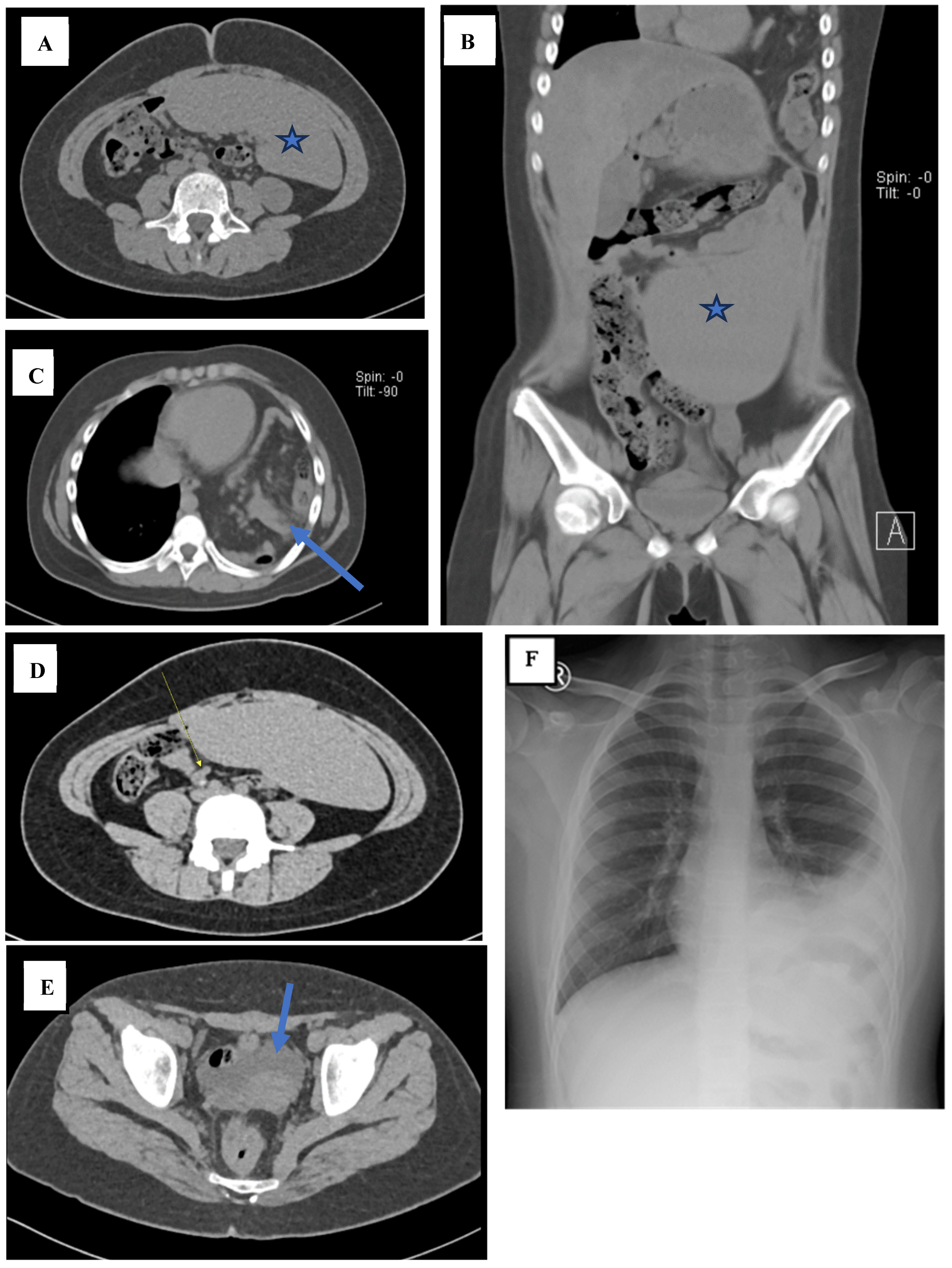 Reports 07 00073 g001