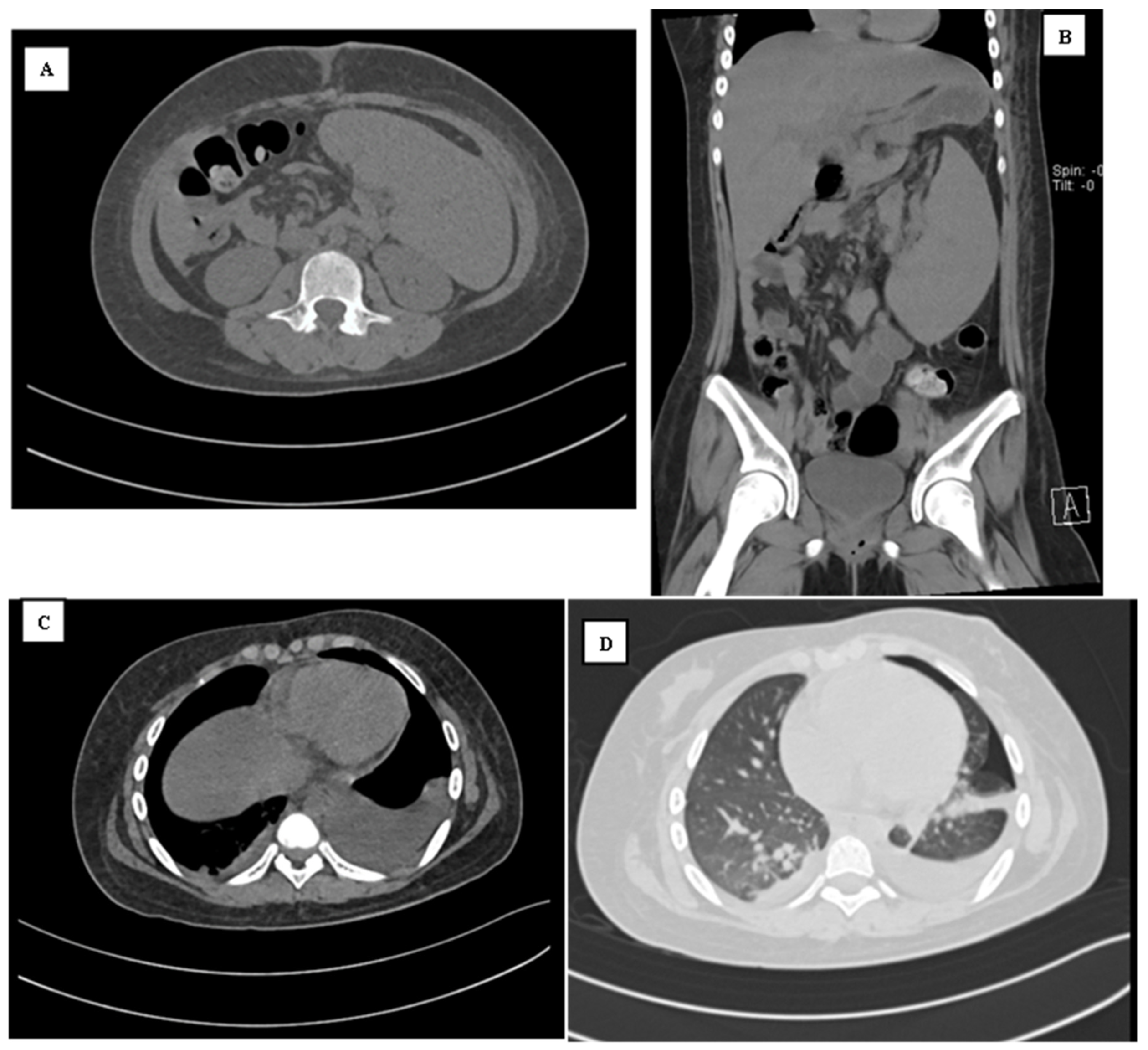 Reports 07 00073 g002