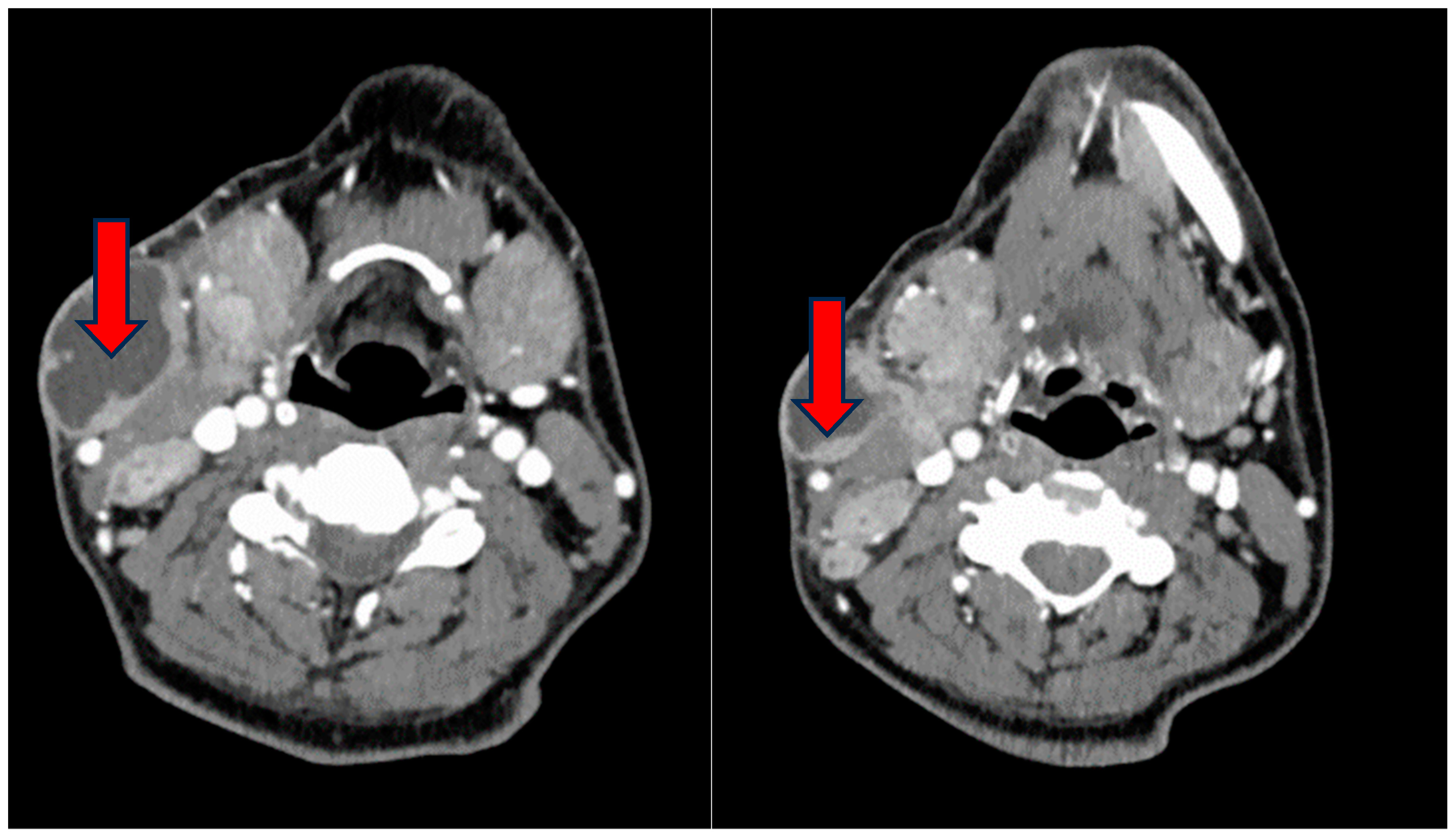 Reports 07 00082 g001 Reports 07 00082 g001