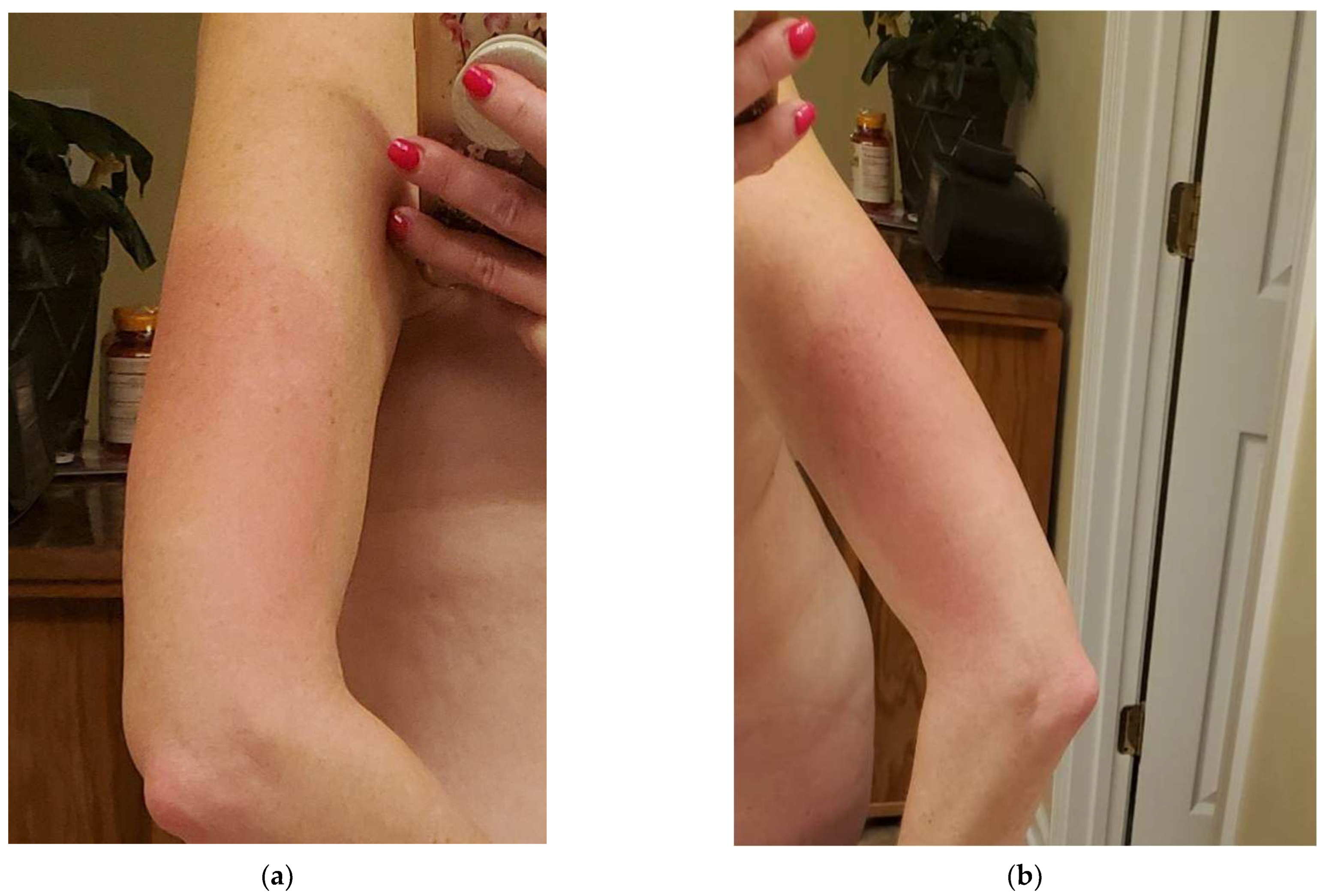 Reports 07 00083 g001