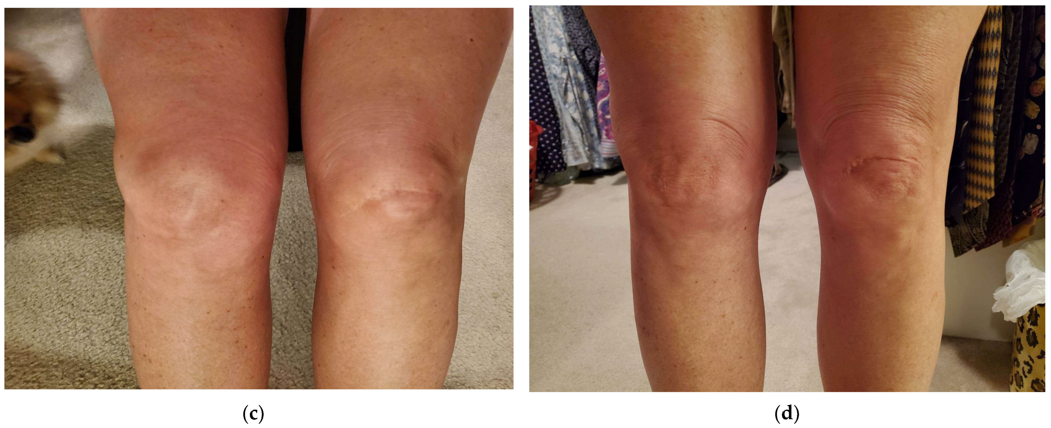 Reports 07 00083 g002b