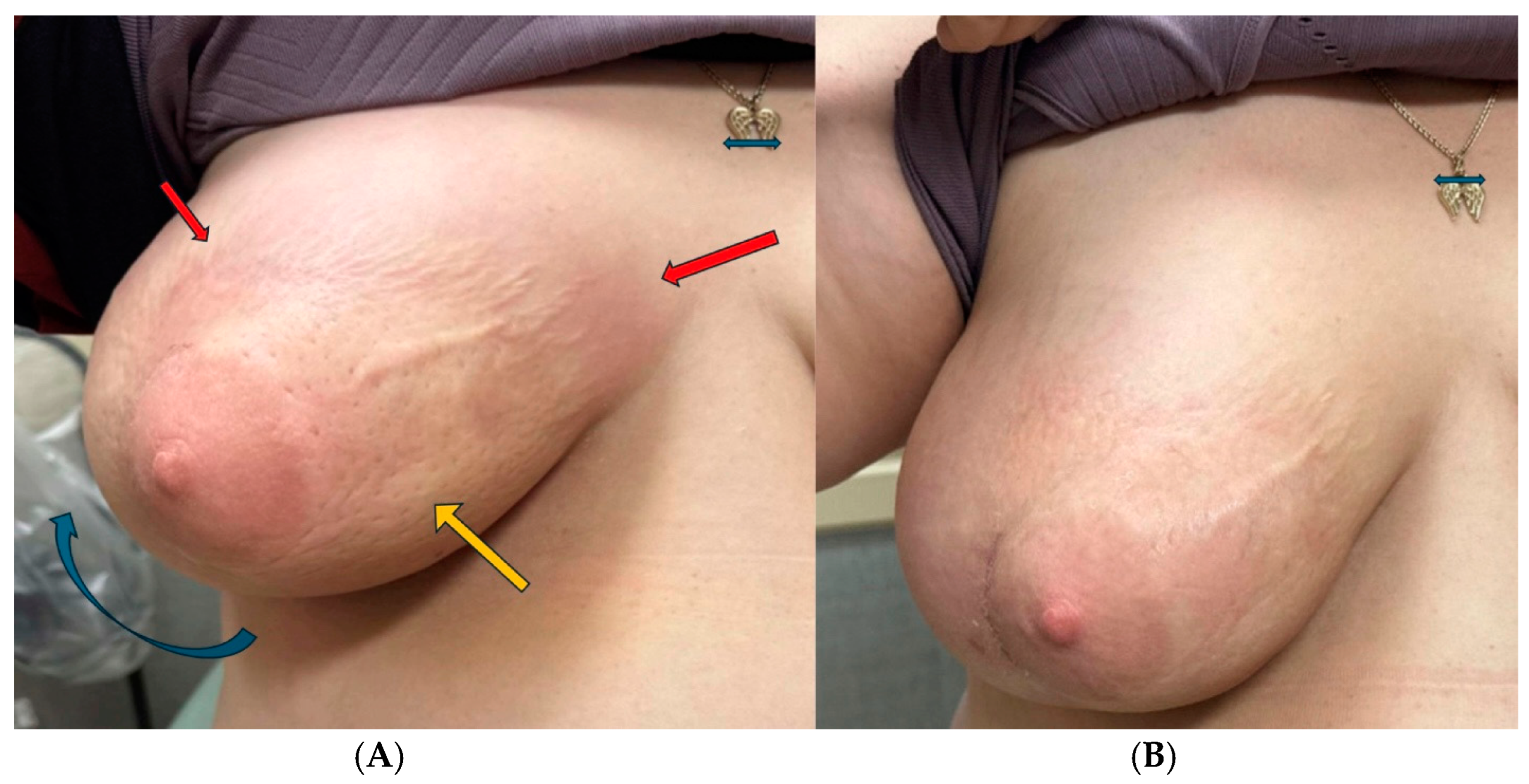 Reports 07 00091 g001