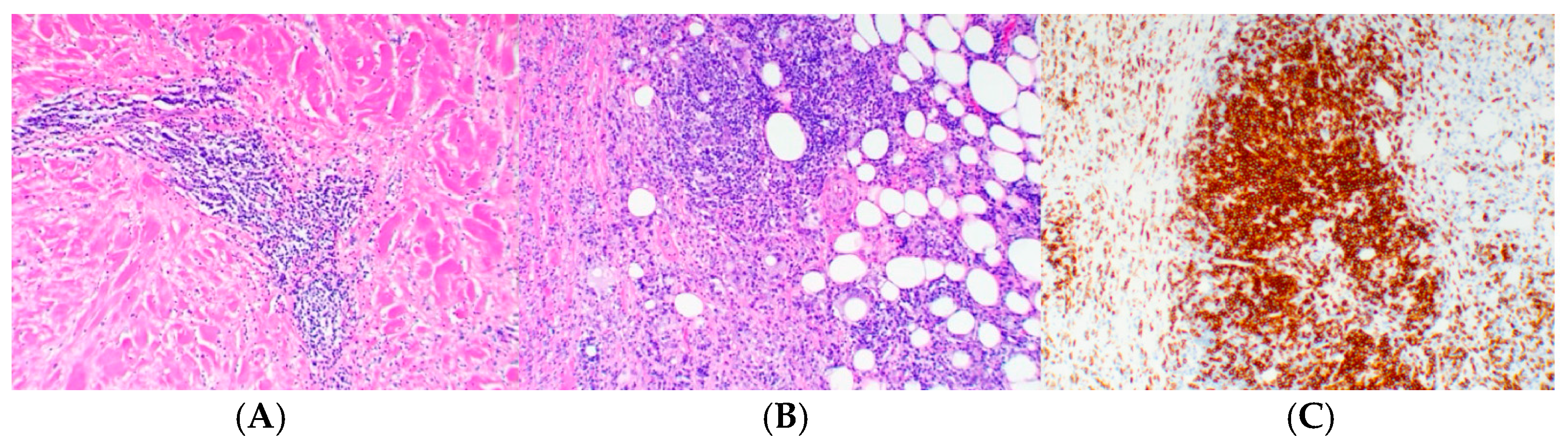 Reports 07 00091 g002