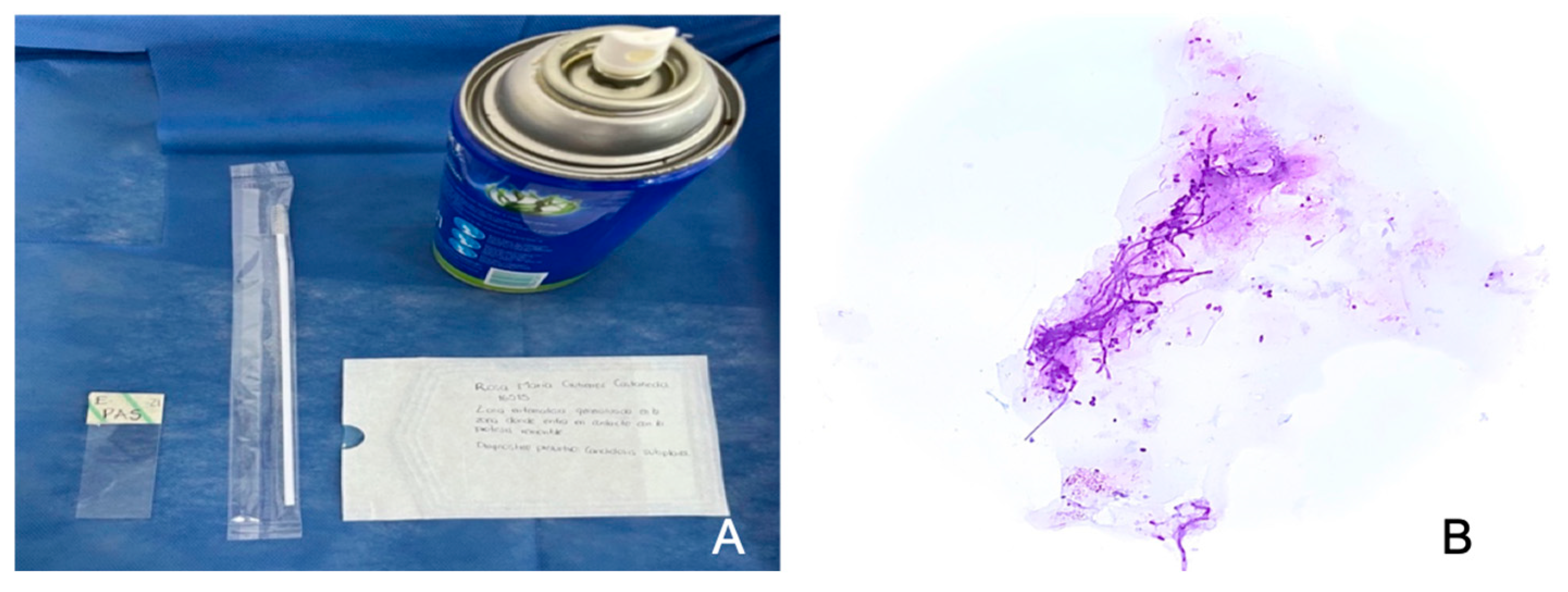 Reports 07 00096 g002