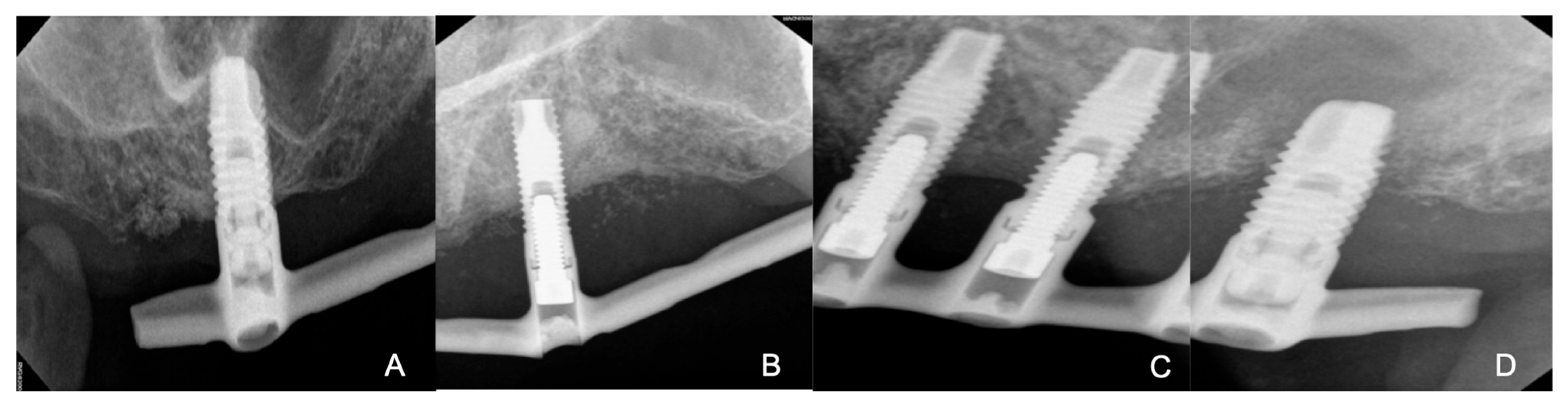 Reports 07 00096 g004