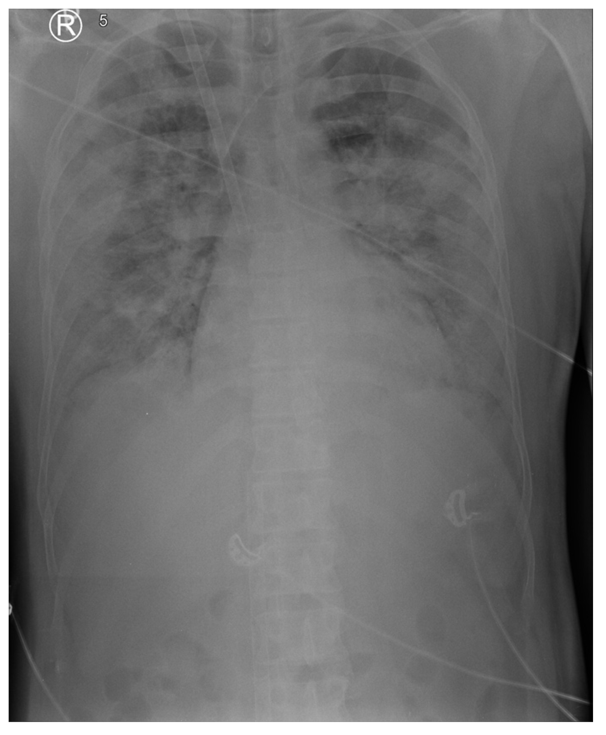 Reports 07 00097 g001