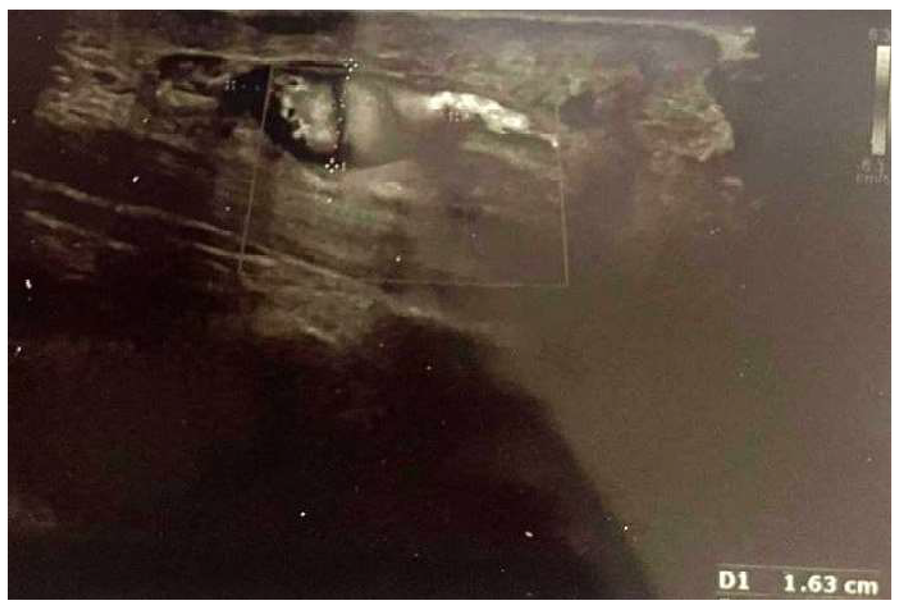 Reports 07 00101 g003