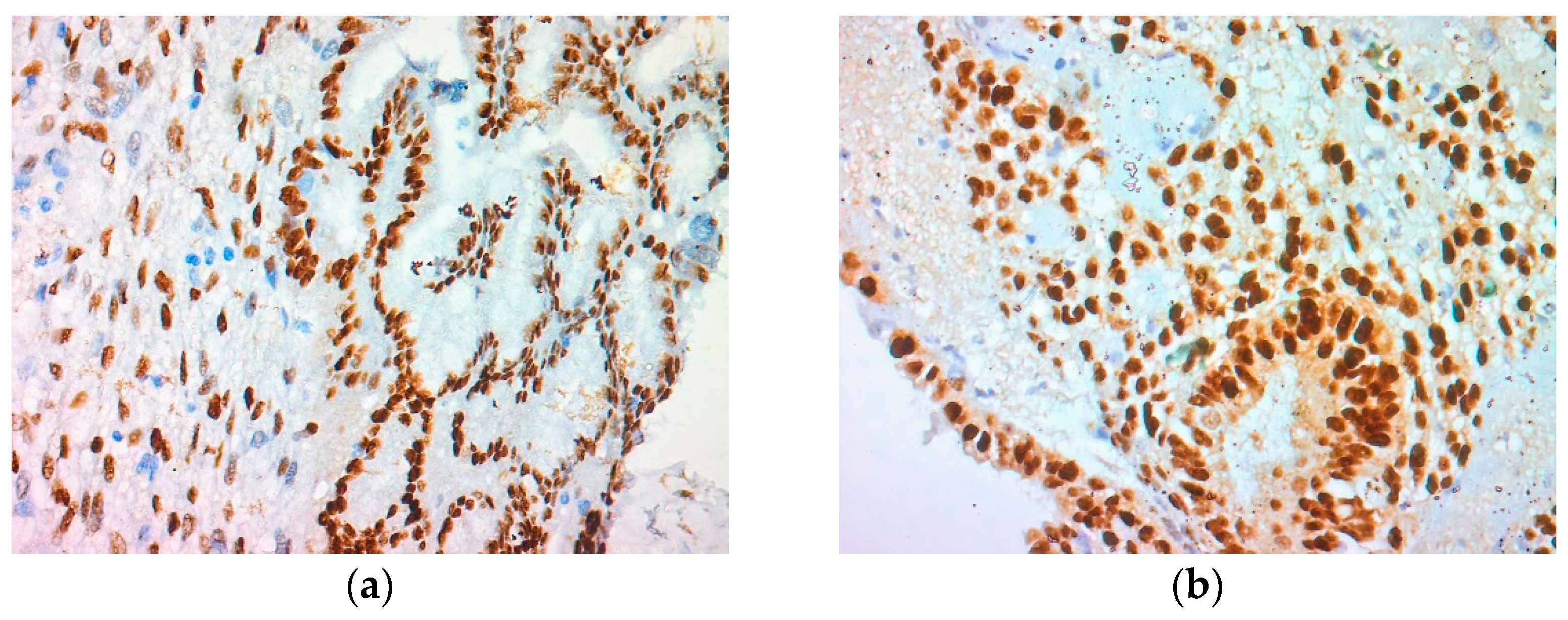 Reports 07 00103 g003a