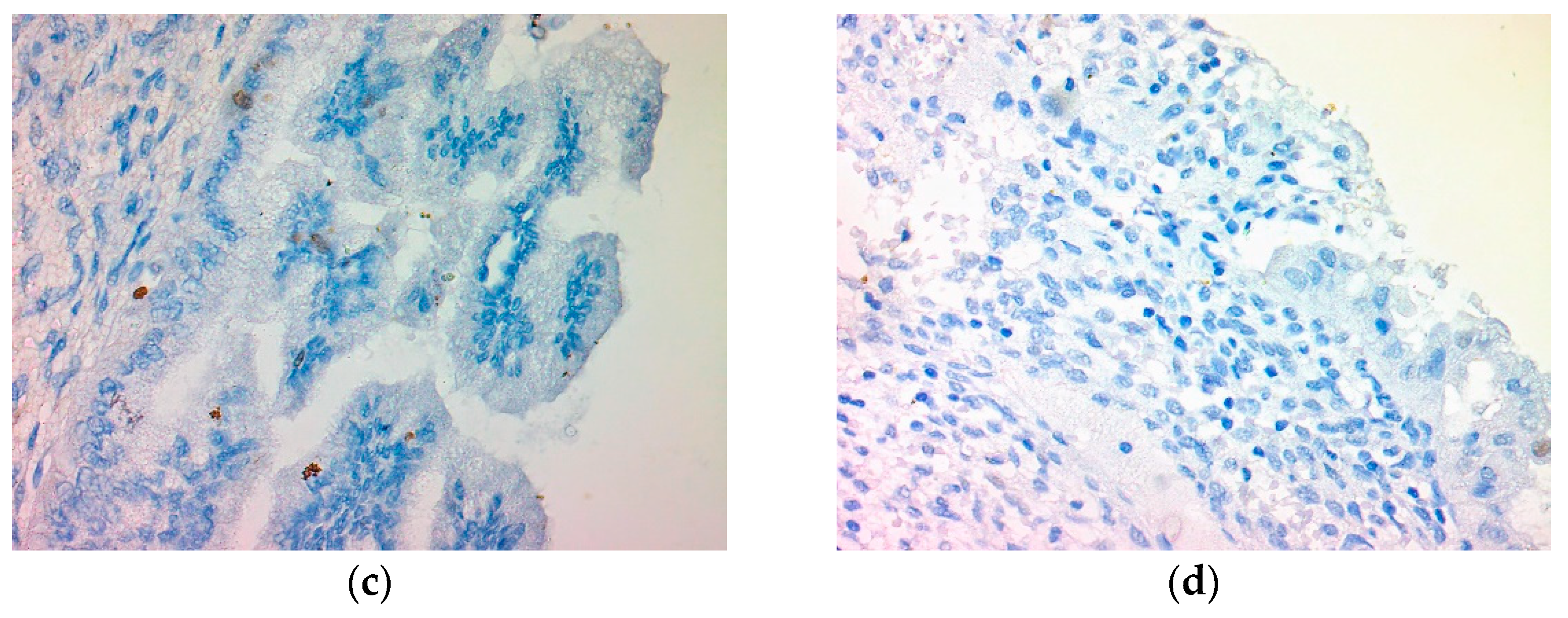 Reports 07 00103 g003b