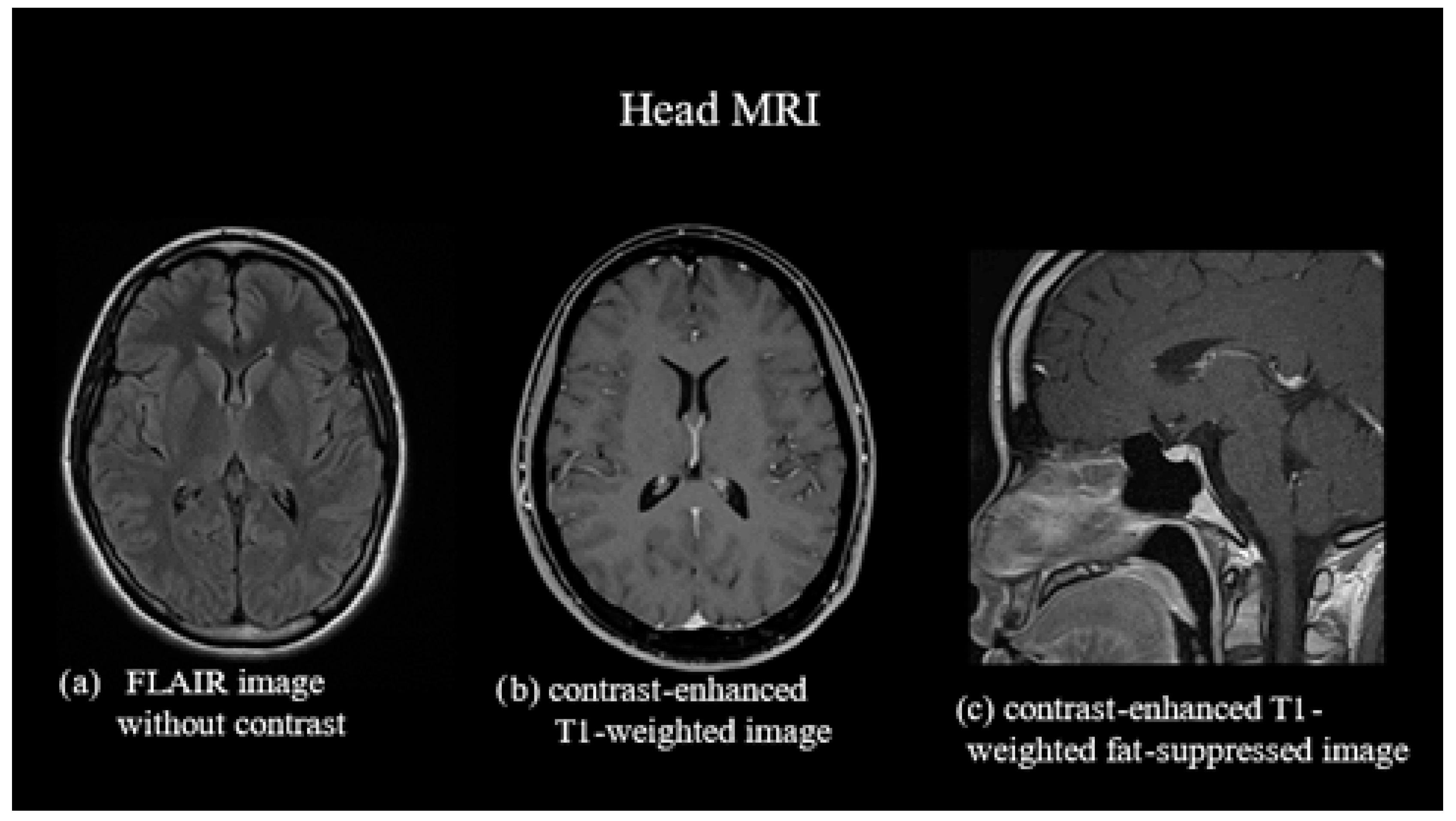 Reports 07 00115 g001