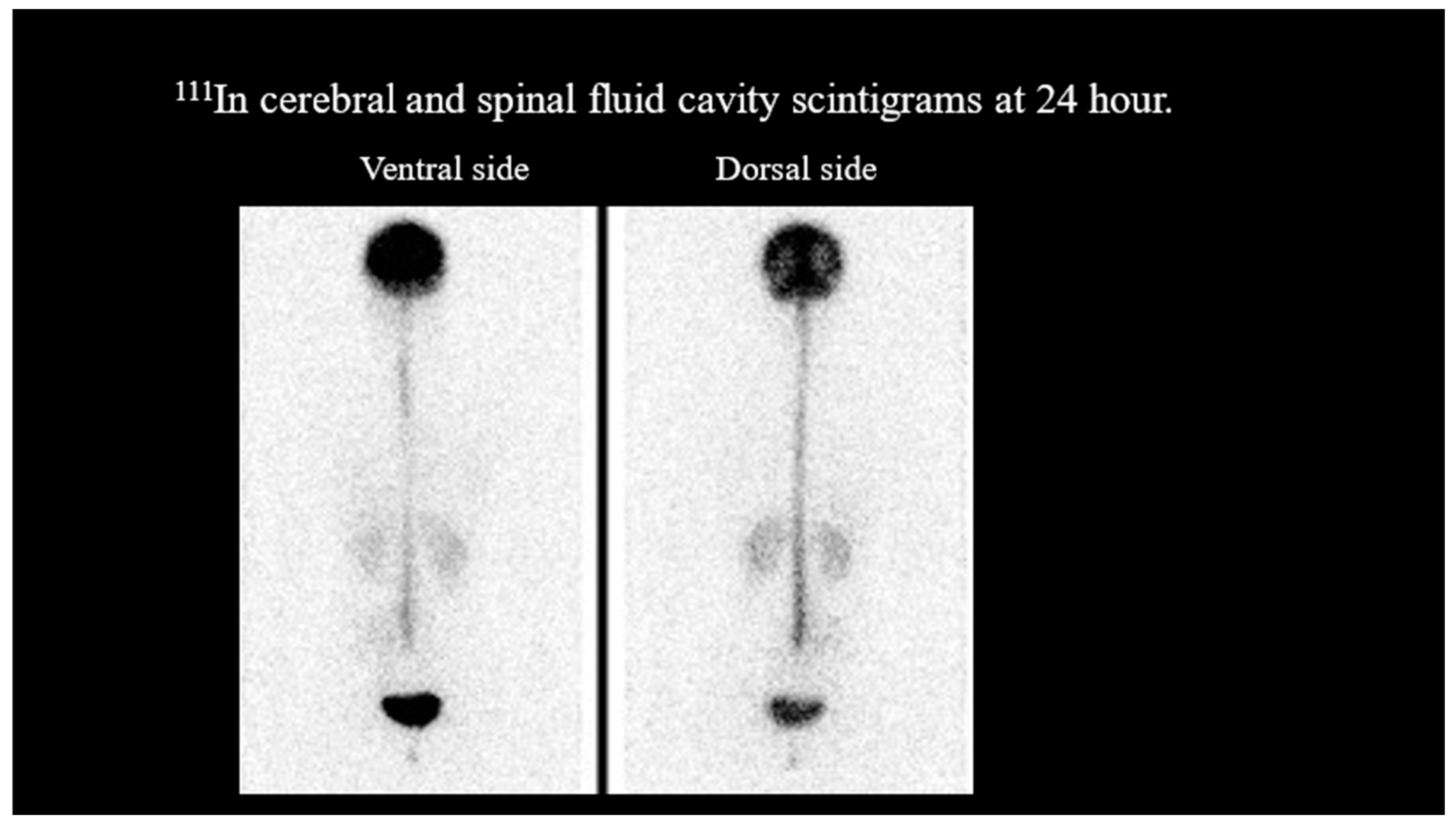 Reports 07 00115 g003