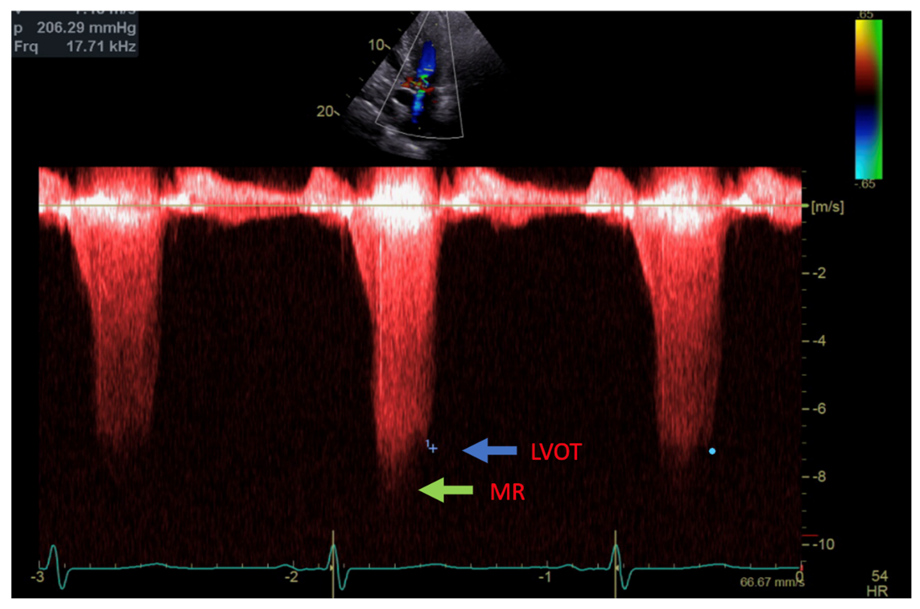 Reports 07 00116 g002