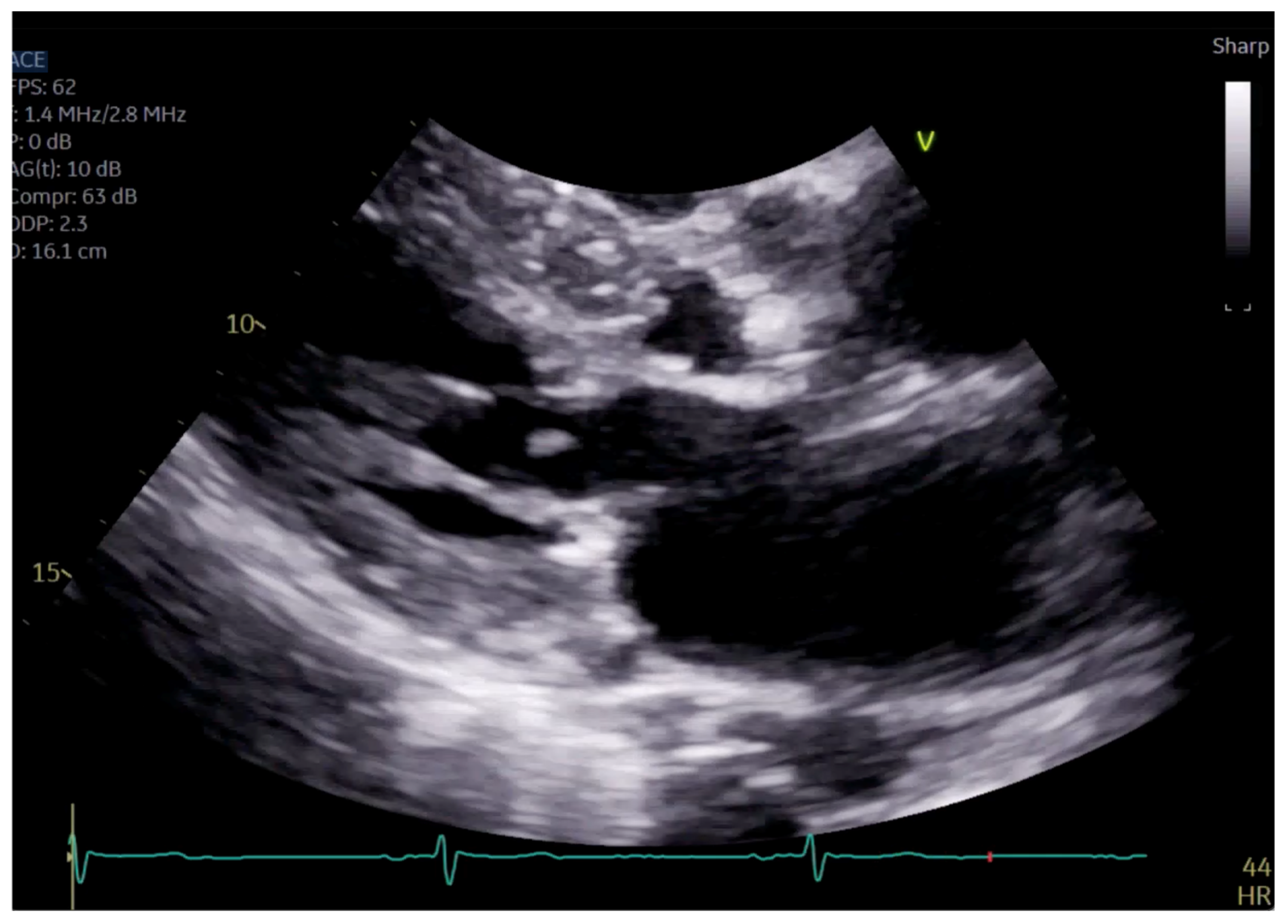 Reports 07 00116 g004