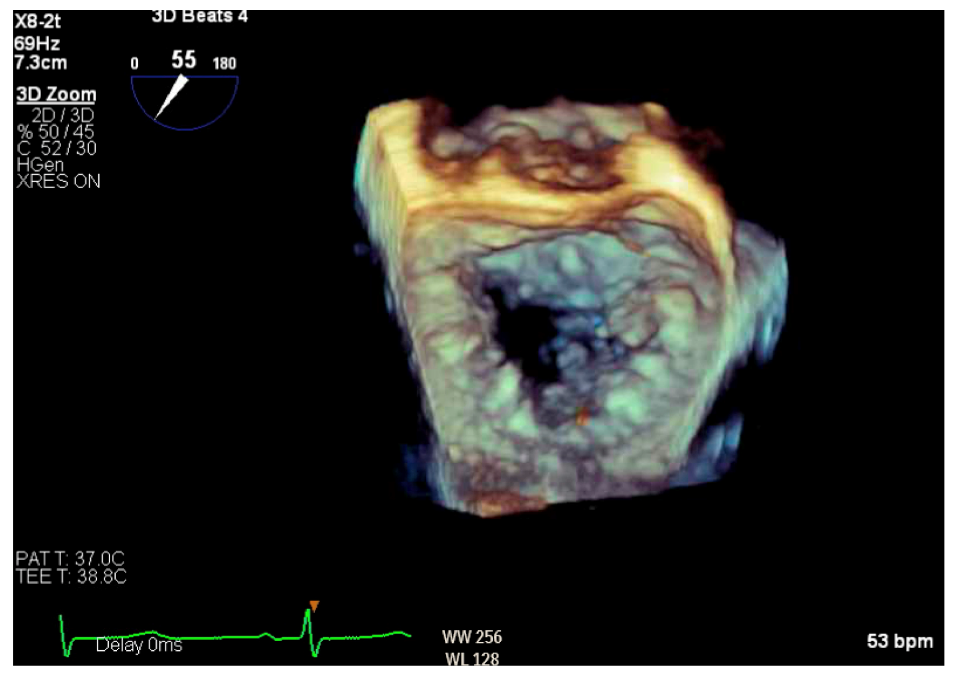 Reports 07 00116 g006