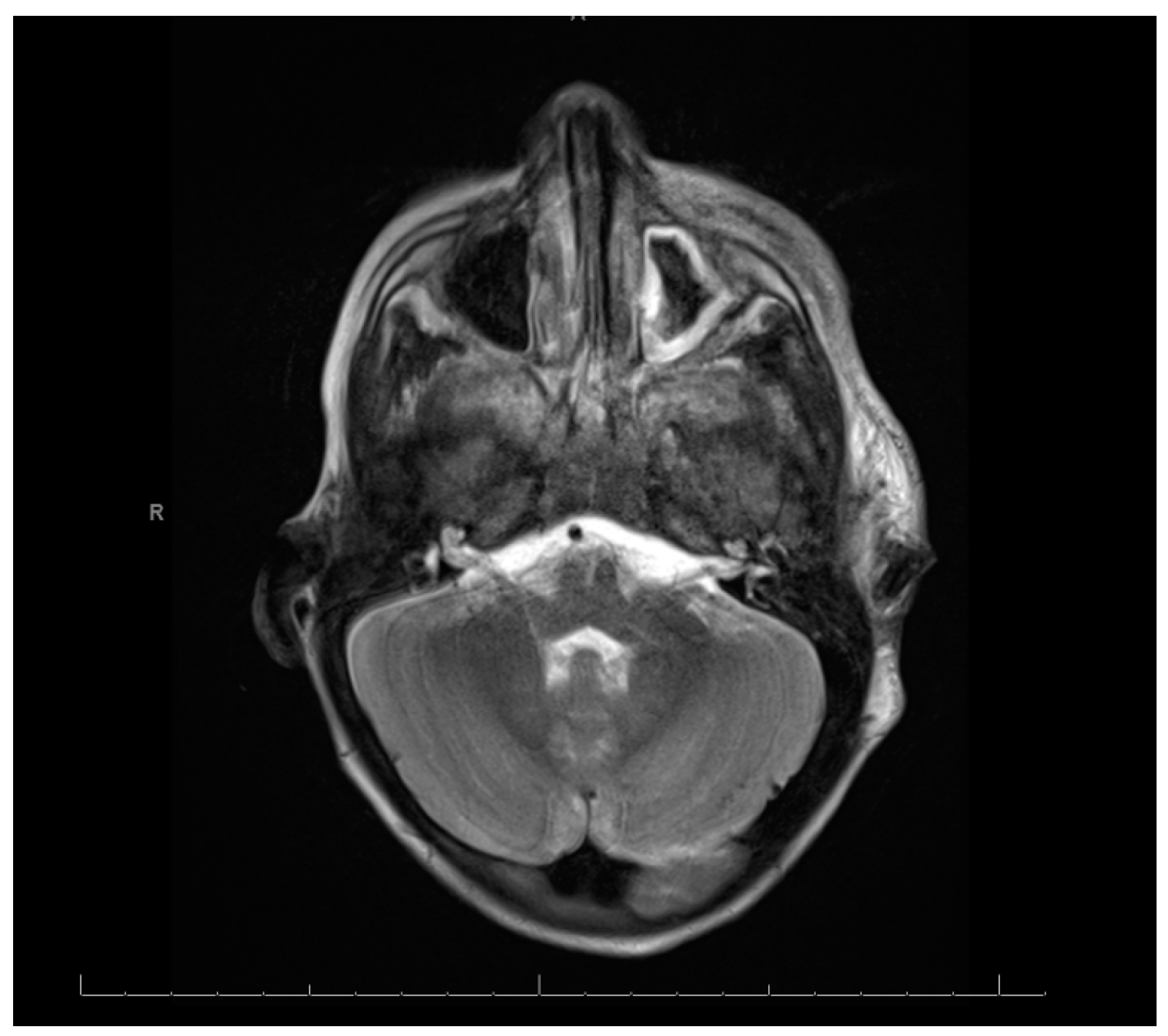 Reports 08 00007 g002