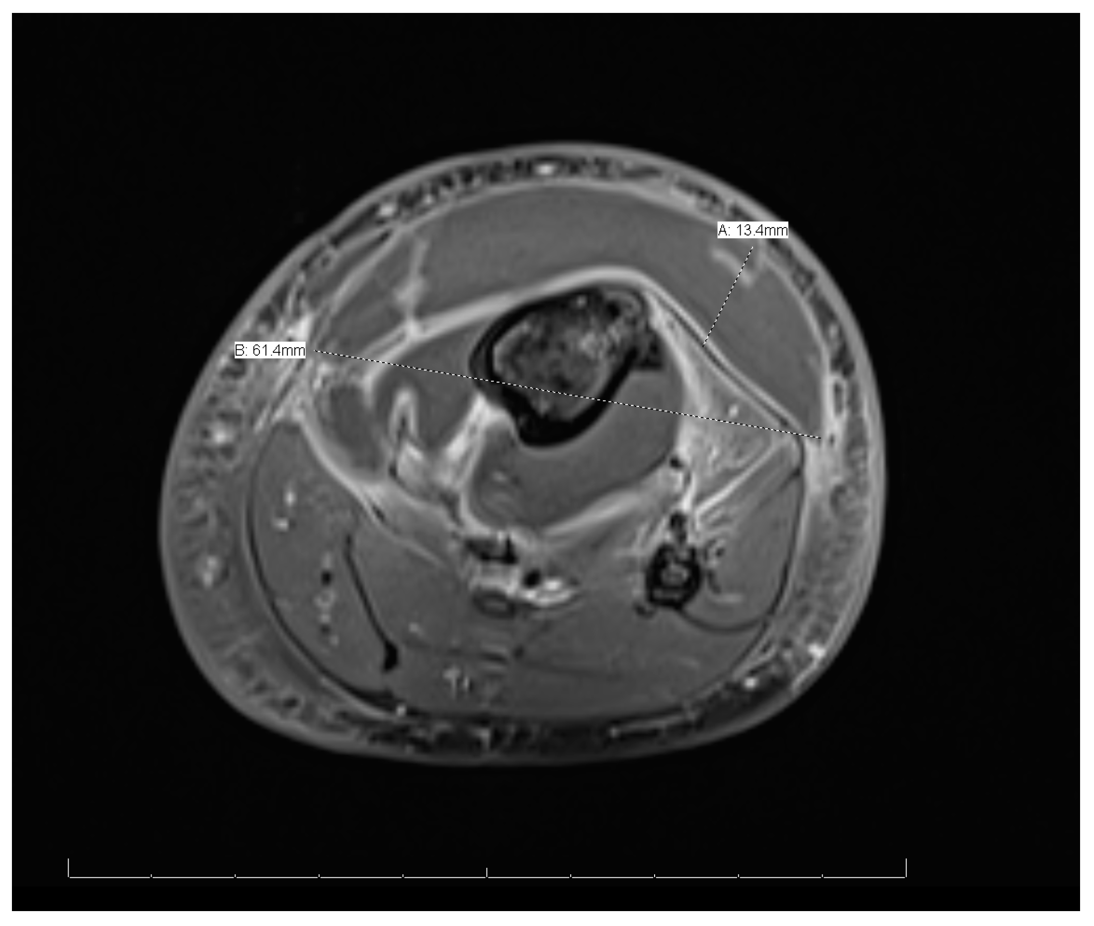 Reports 08 00007 g004