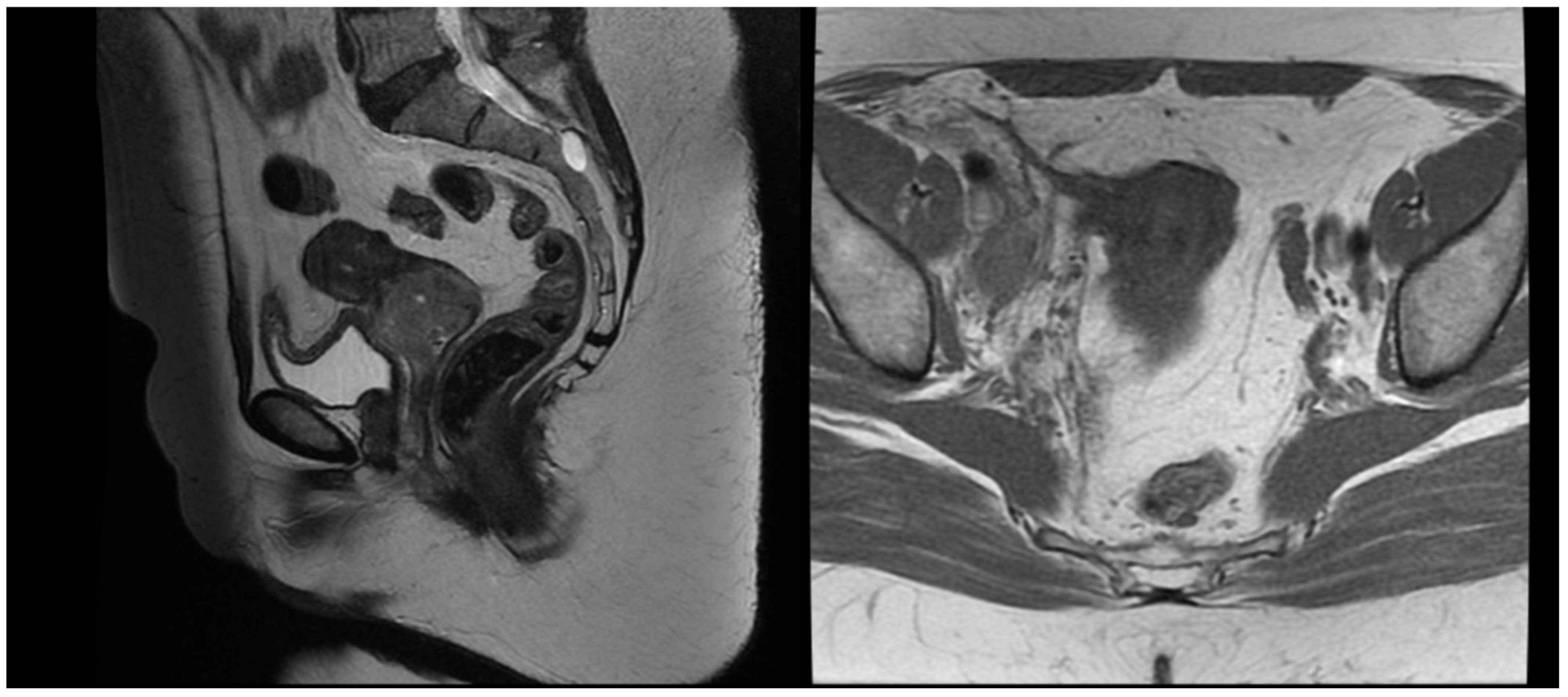 Reports 08 00012 g001