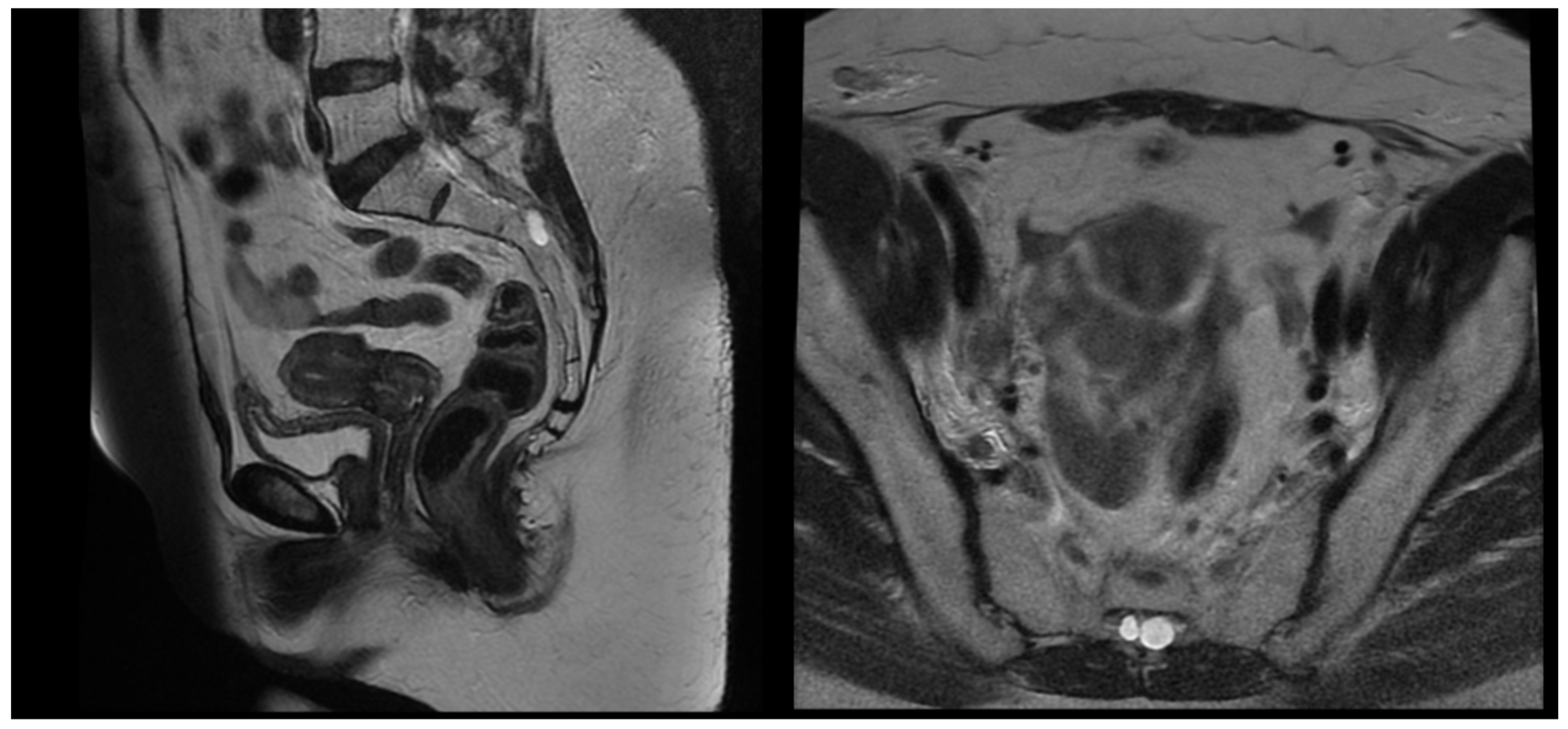 Reports 08 00012 g004