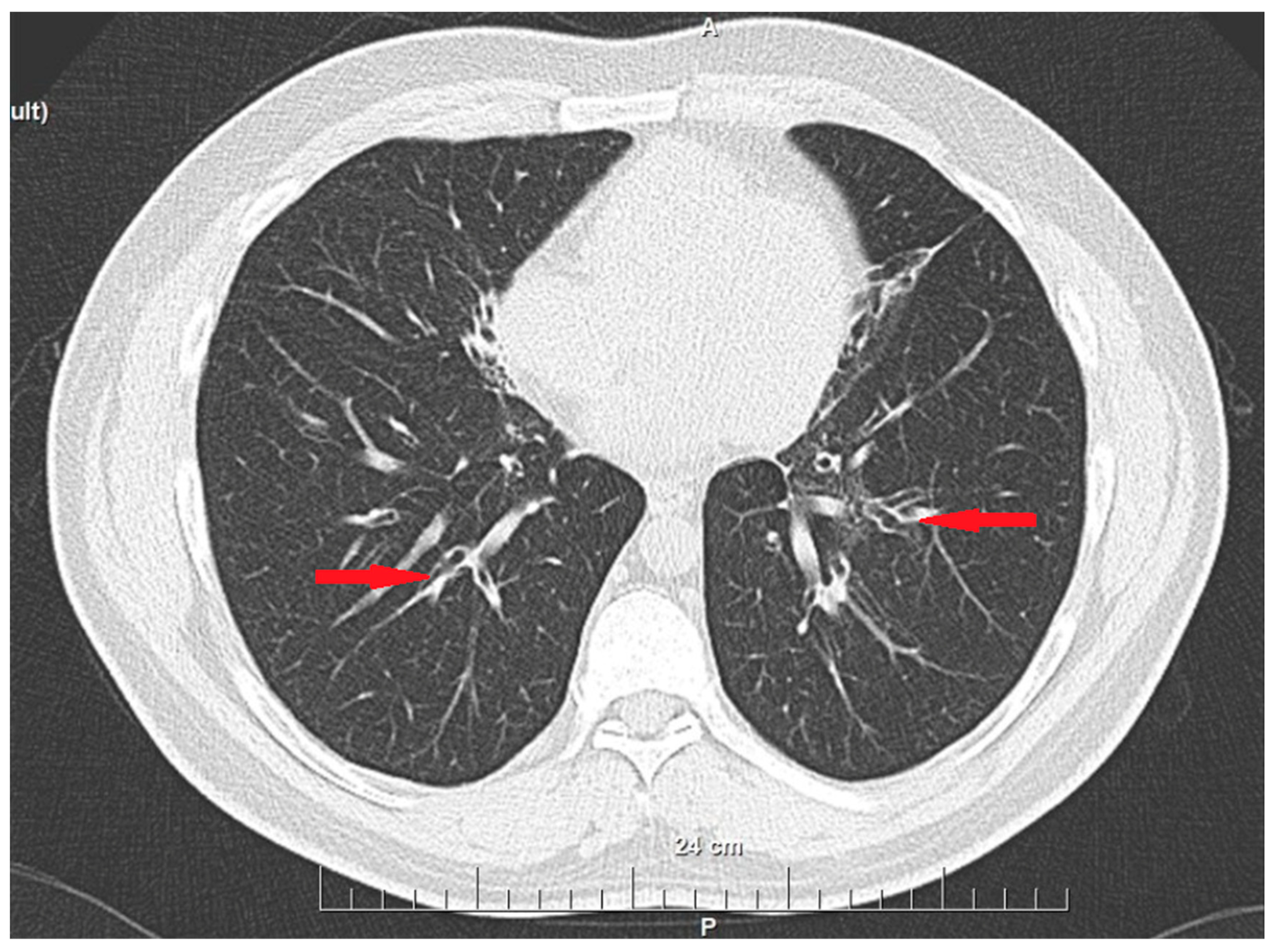 Reports 08 00020 g002