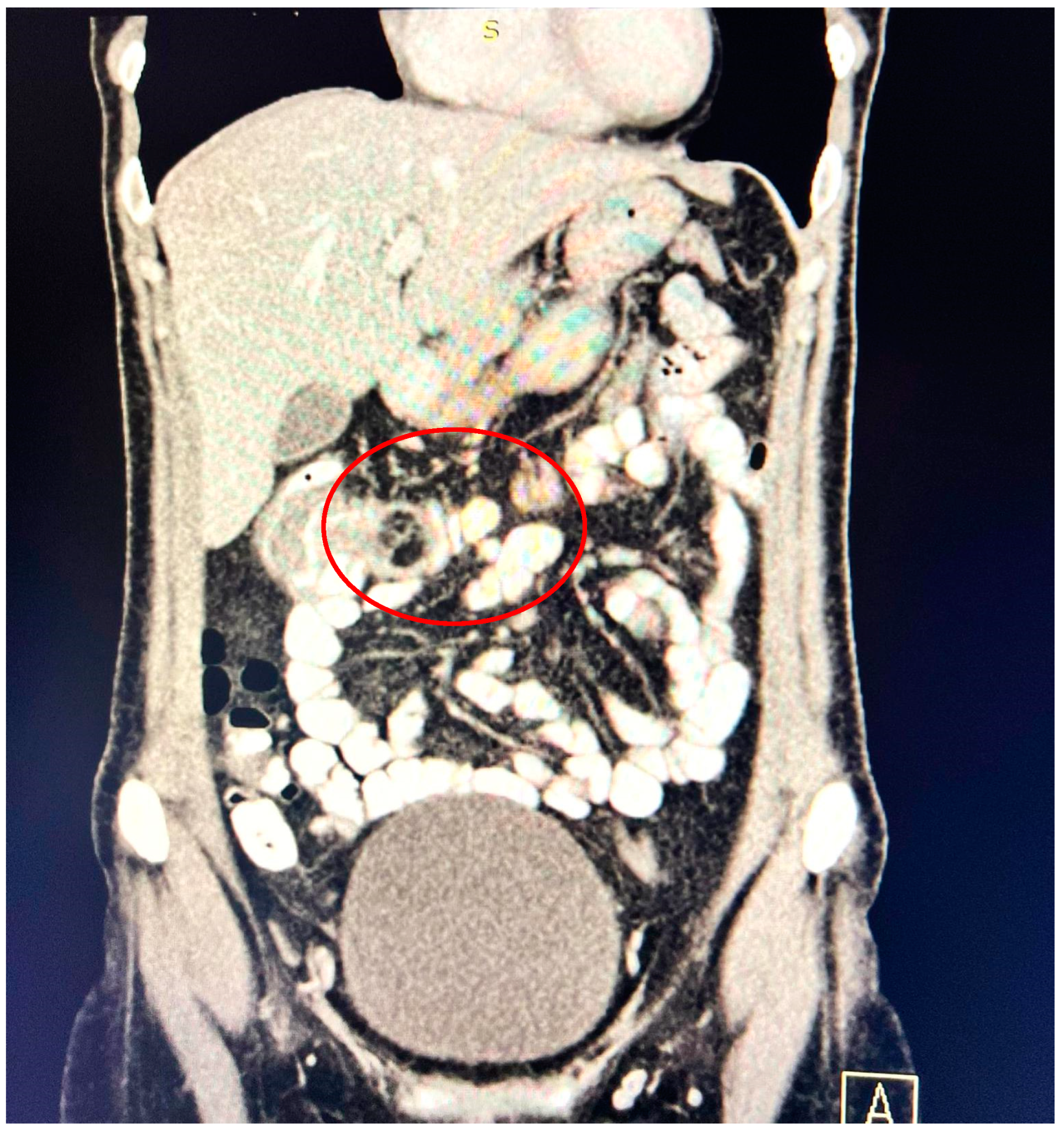 Reports 08 00021 g001