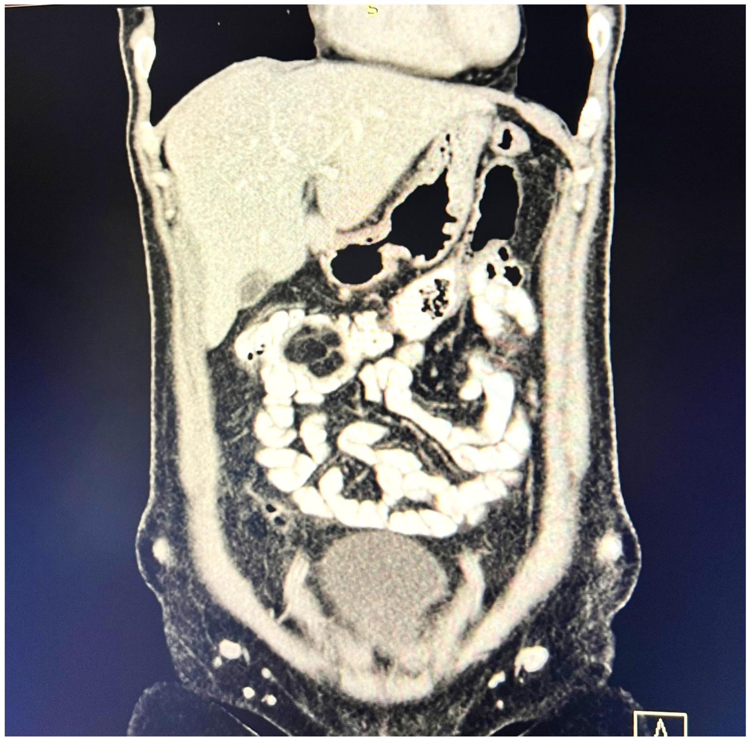 Reports 08 00021 g002