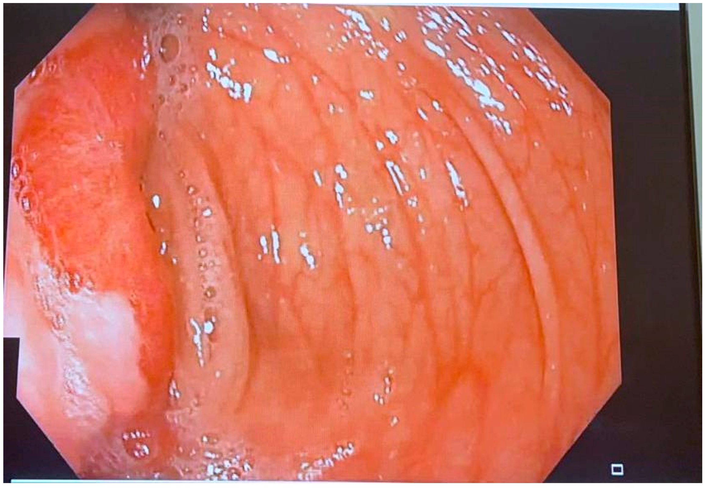 Reports 08 00021 g005