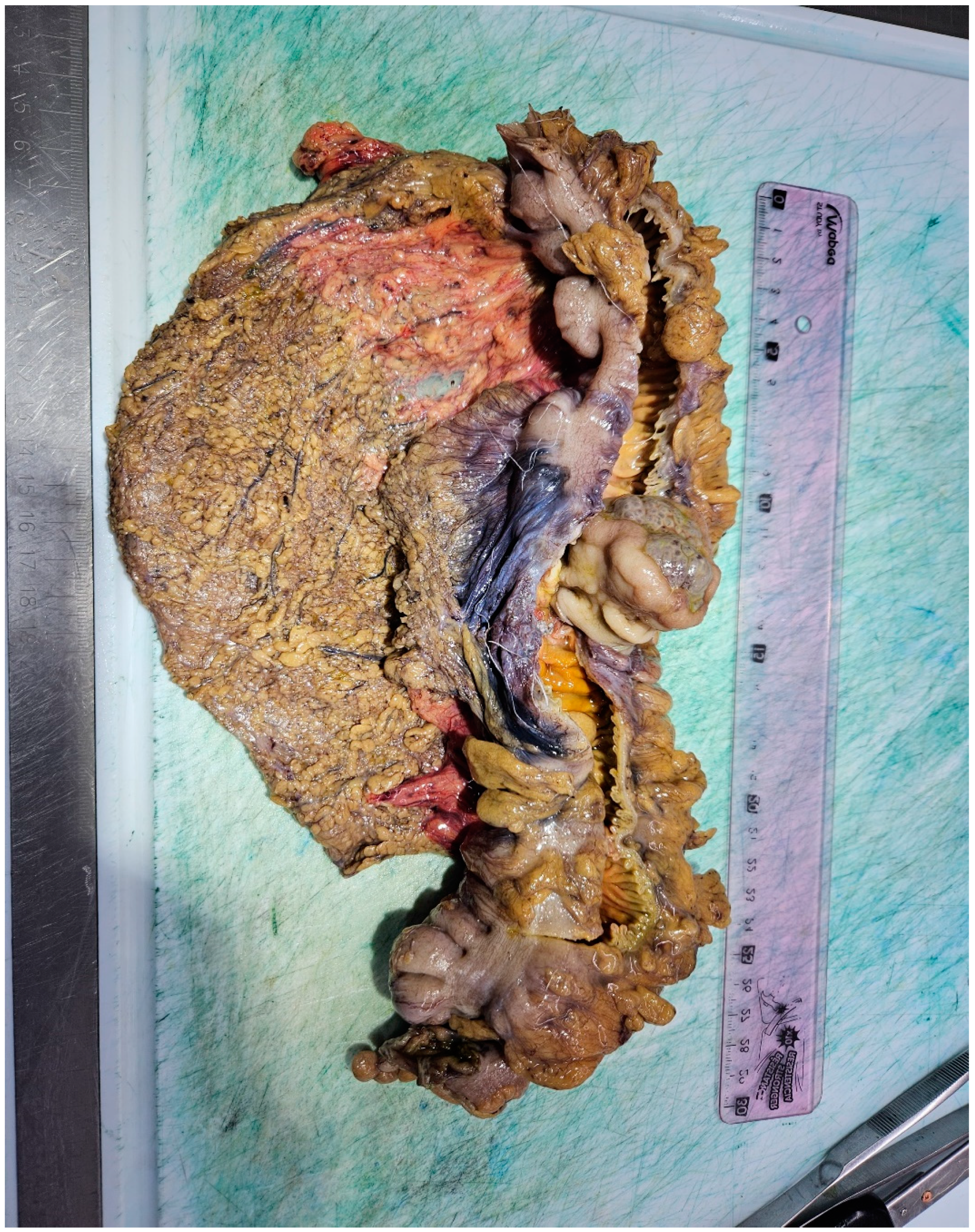 Reports 08 00021 g006