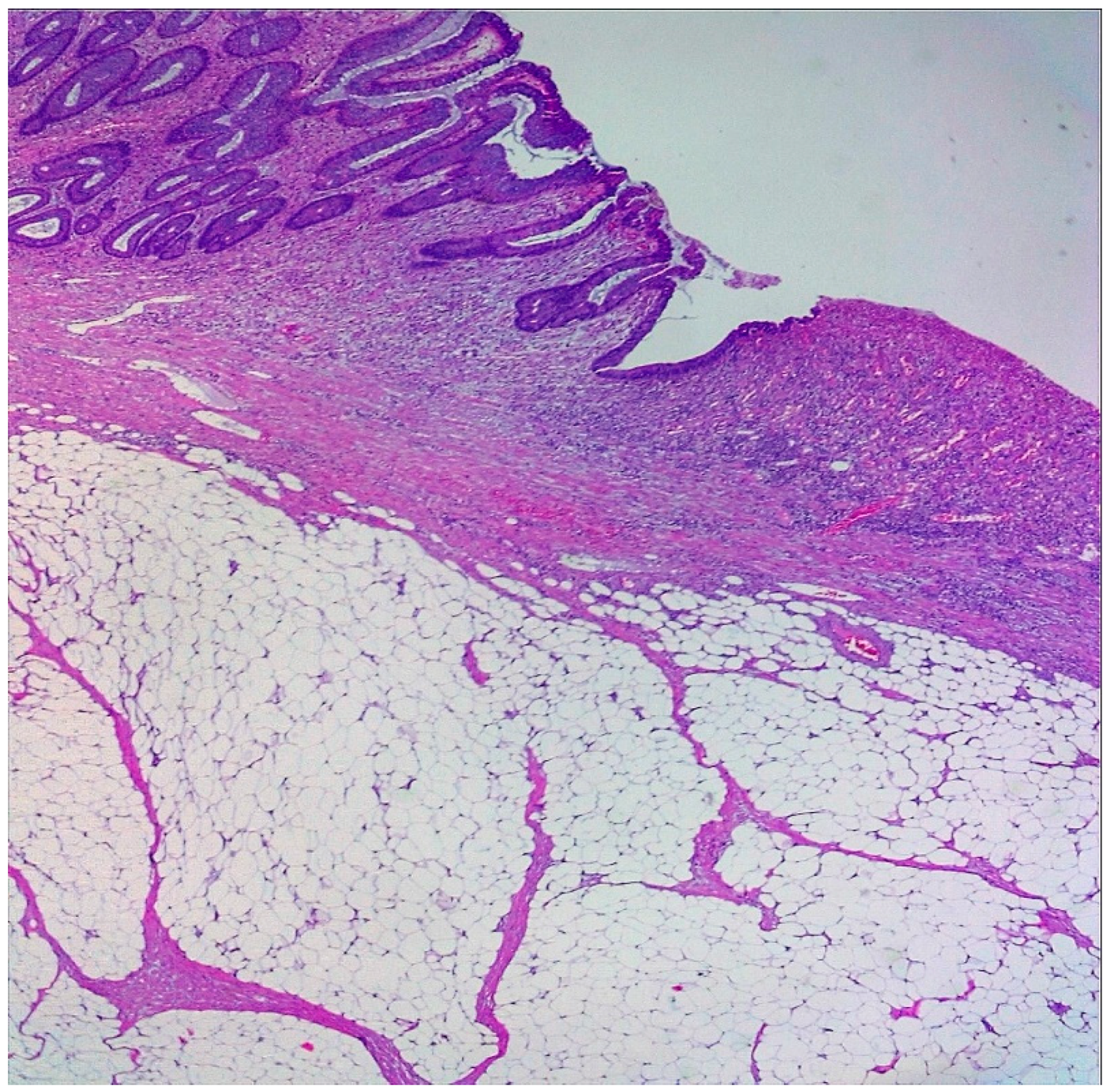 Reports 08 00021 g008